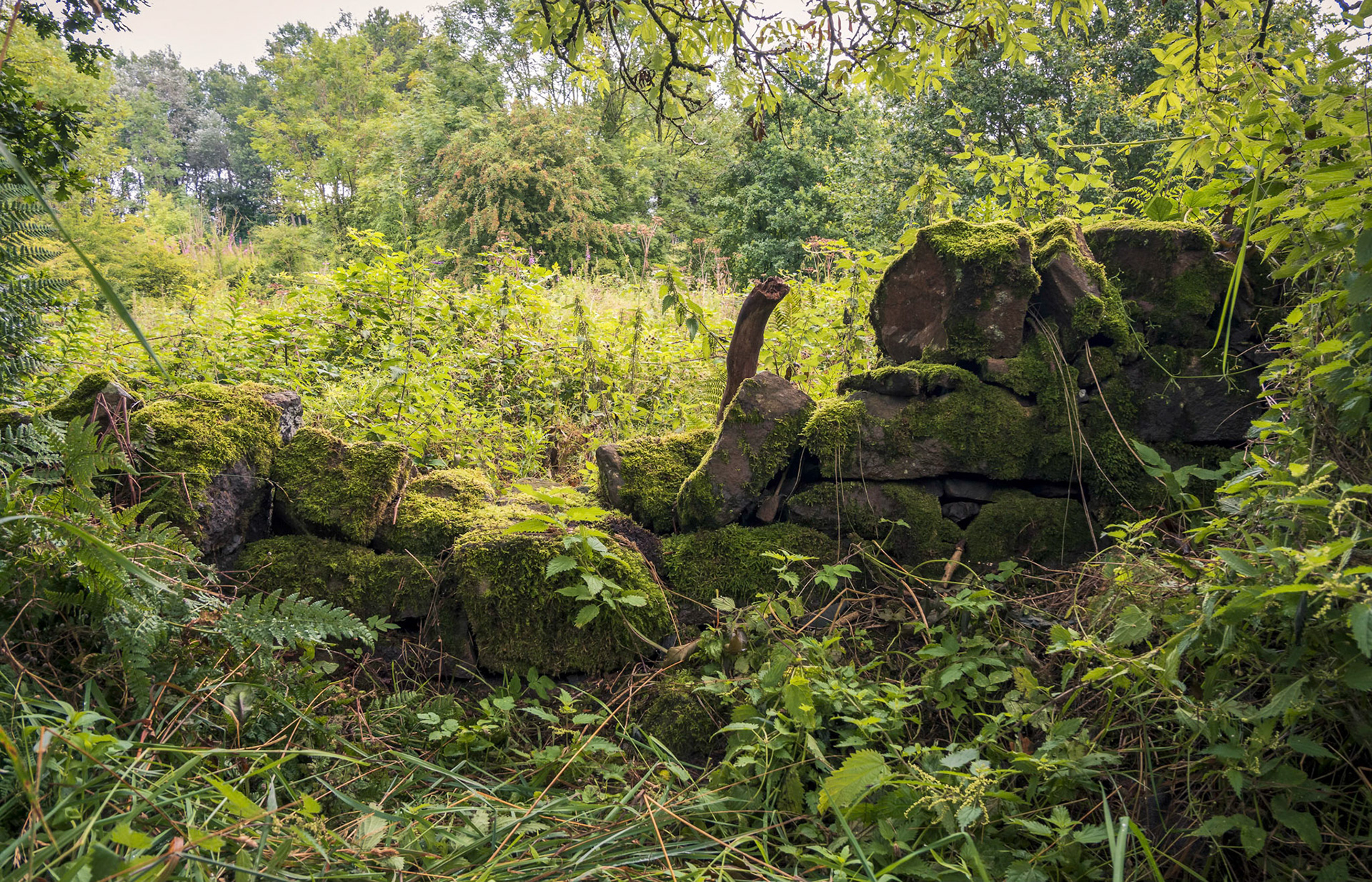 A brocken down wall, a memory of farming past.