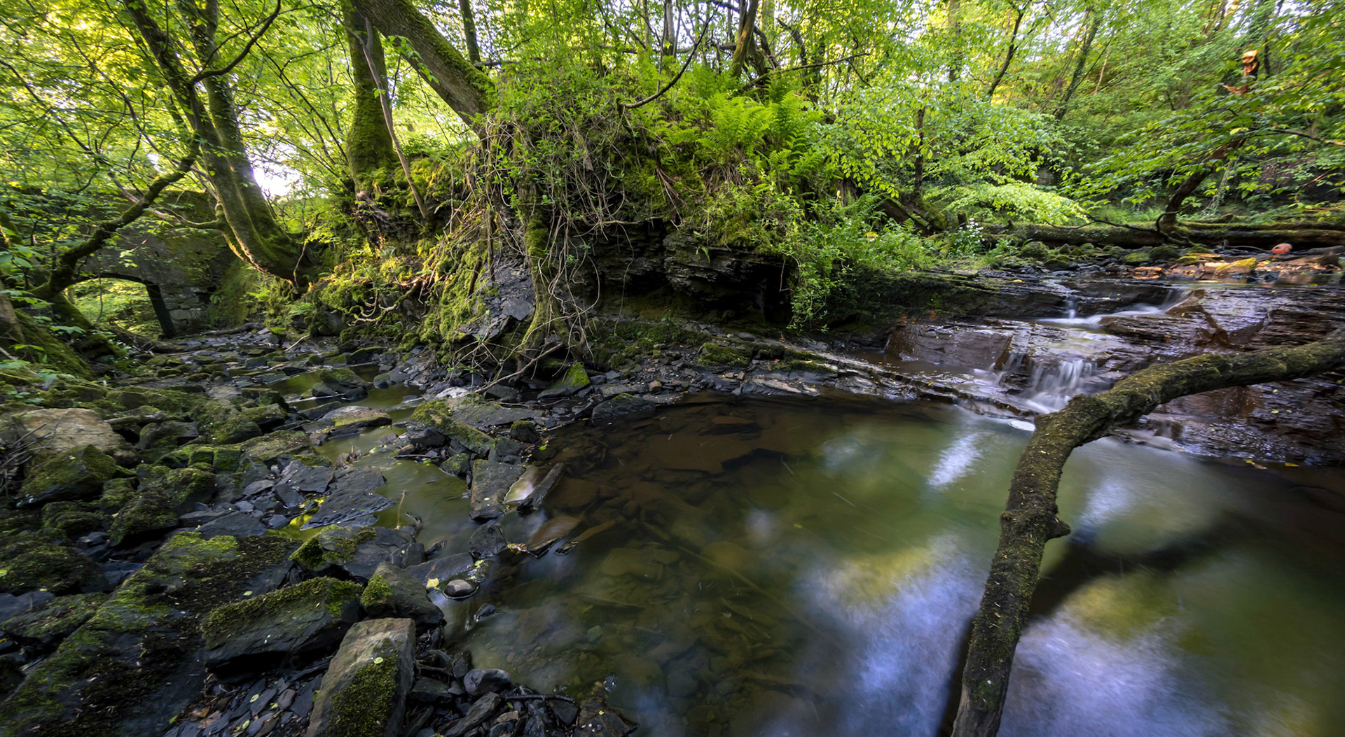 Millbank Burn (Scotish for stream) used to power a grain mill called Meikle Millbank Mill.