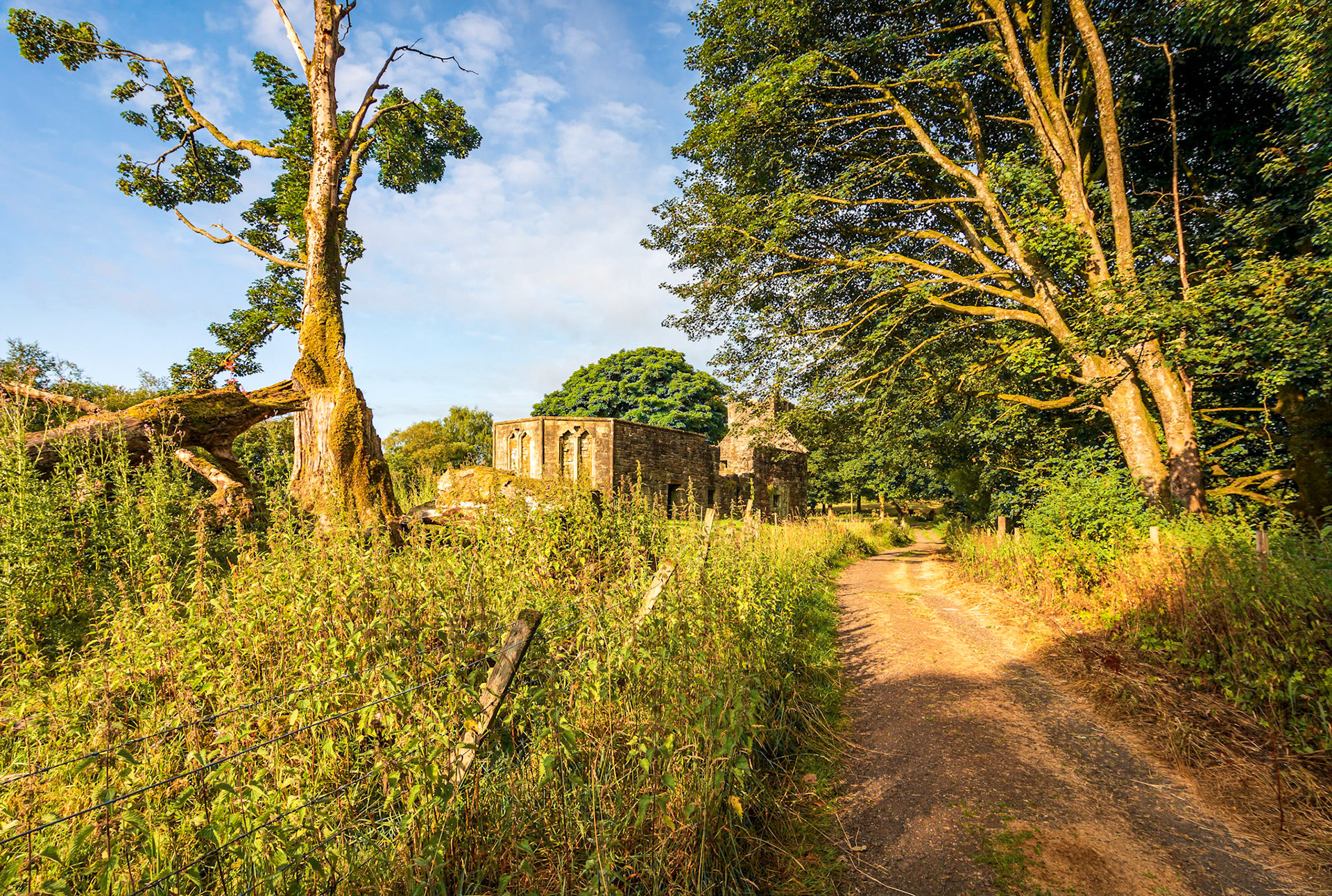 Morning light at Castle Semple Collegiate Church near the Renfrewshire vilage of Lochwinnoch.