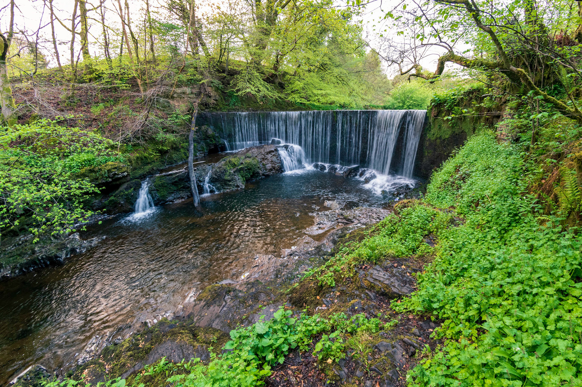 While taking a walk this scence presented itself.