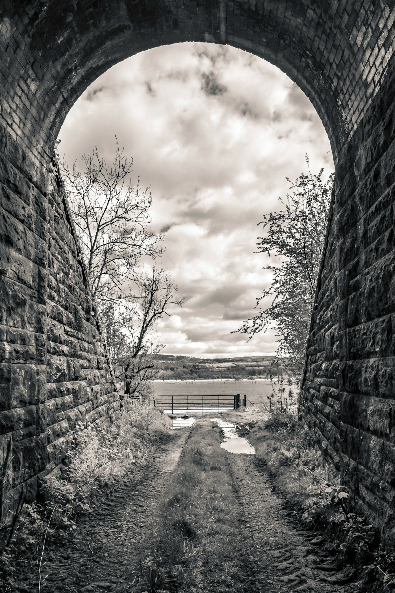 Under the old Lochwinnoch loop line to a field and then to Barr Loch.