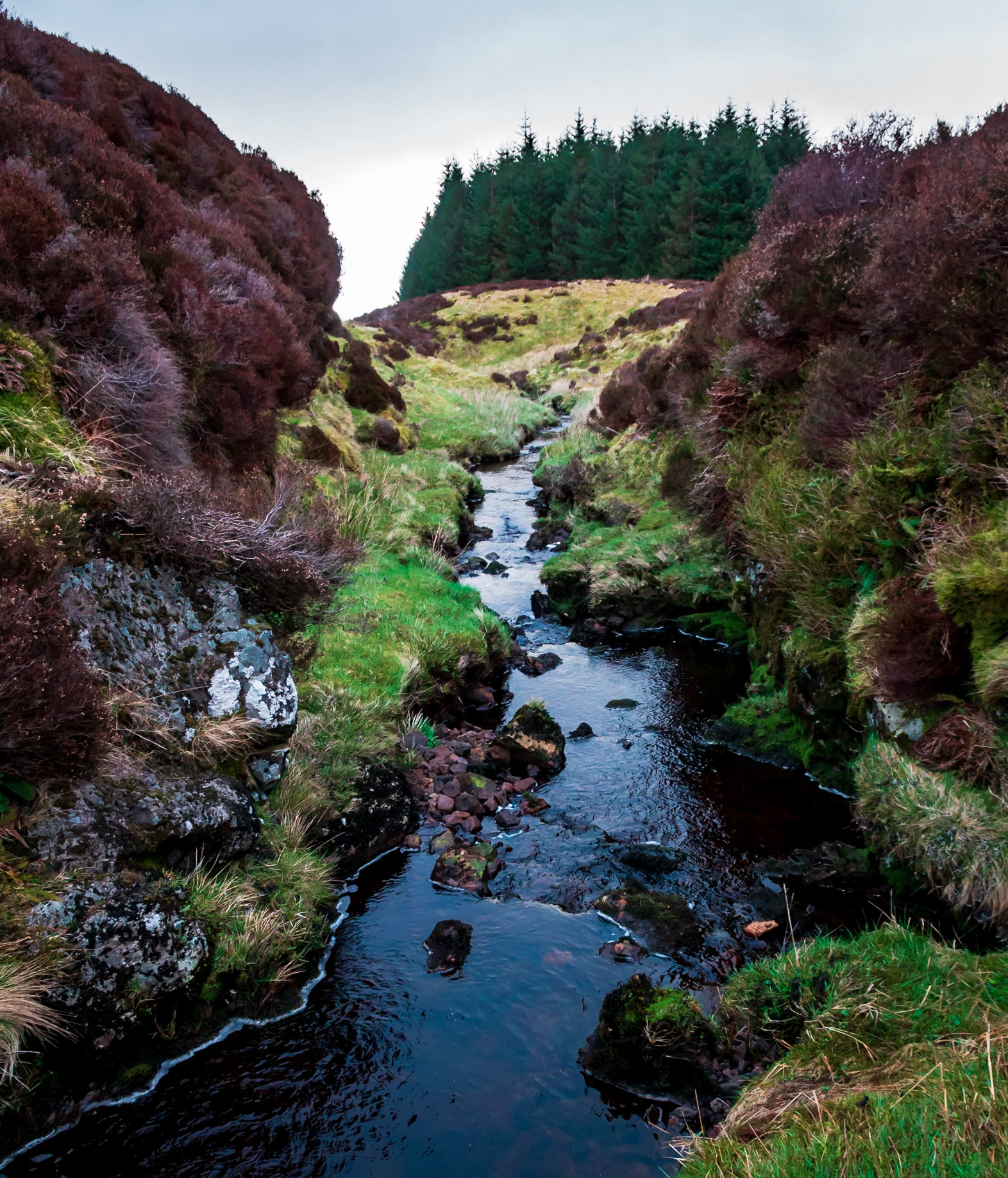 Gotter water flows from Locherwood and Lady Muir Woodland into the River Gryfe