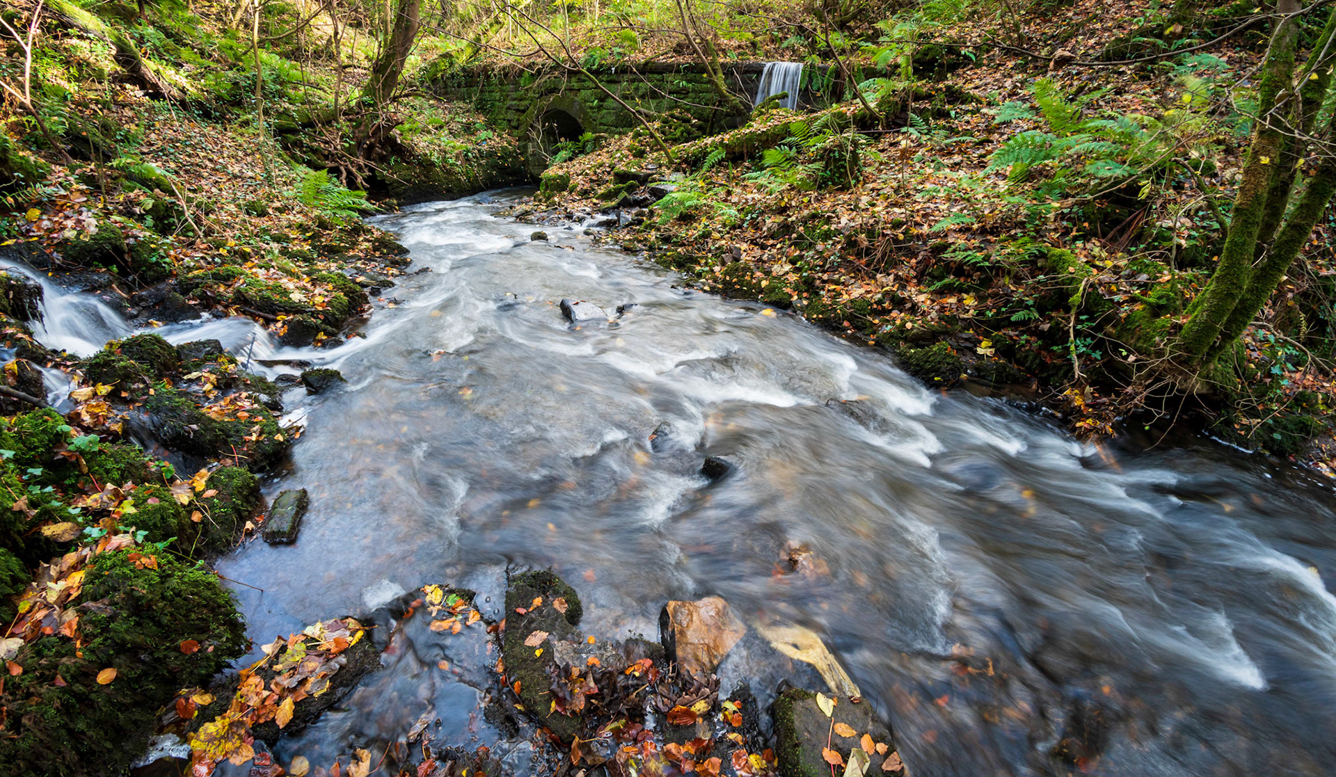 Millbank Burn, heading into a tunnel just before its final destination, Barr Loch..