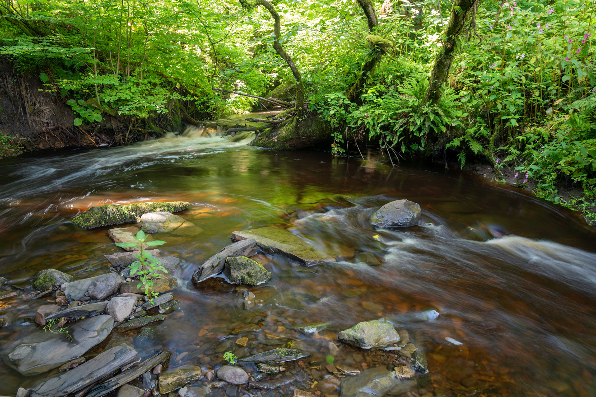 Coming down over the fall in the foreground the river splits over the little stony island in the middle before recombining and heading east to fill Kilbirnie Loch.