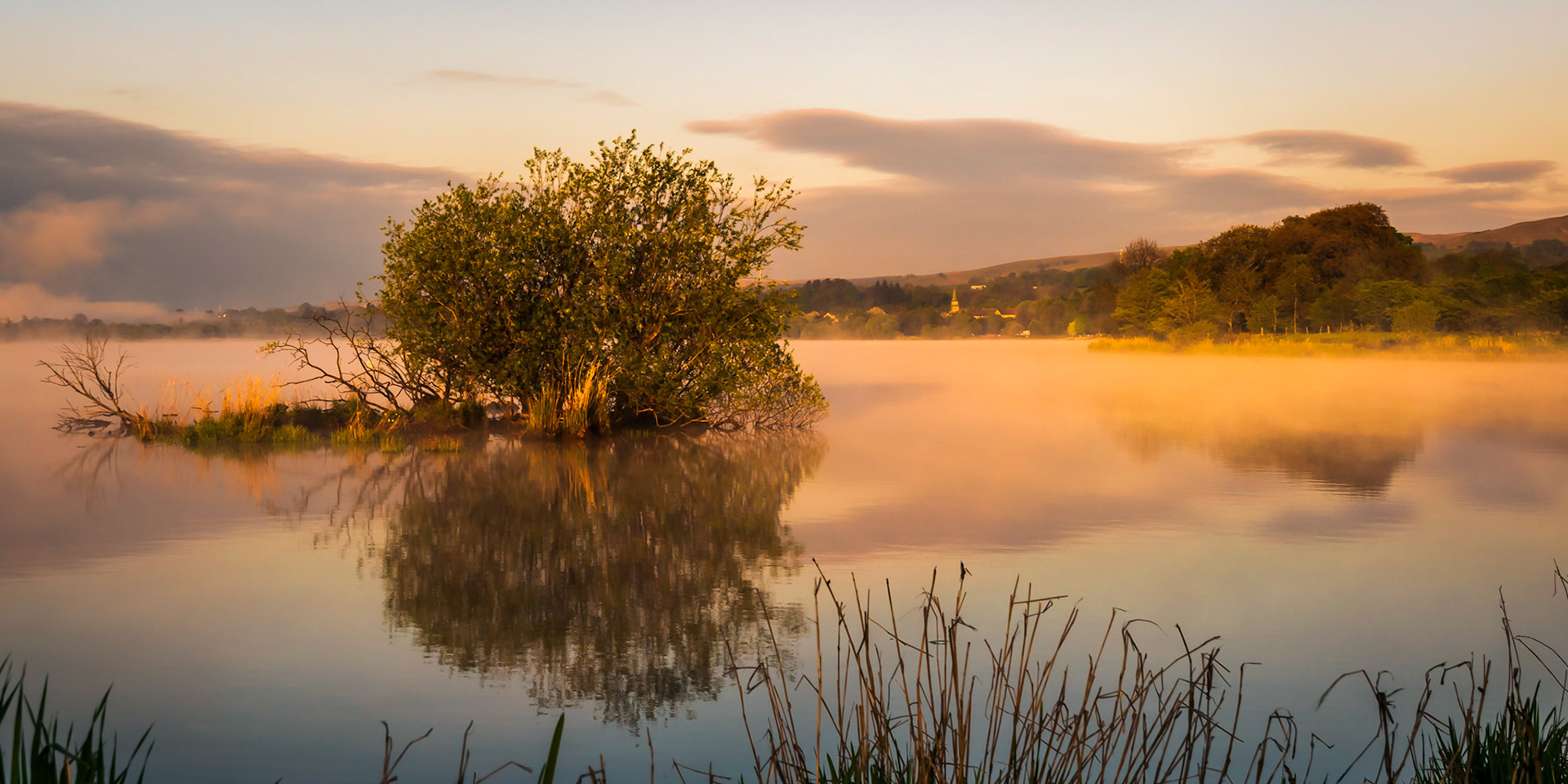 On an early morning walk the sunrise light cretead mist from the Castle Semple Loch (Lake).