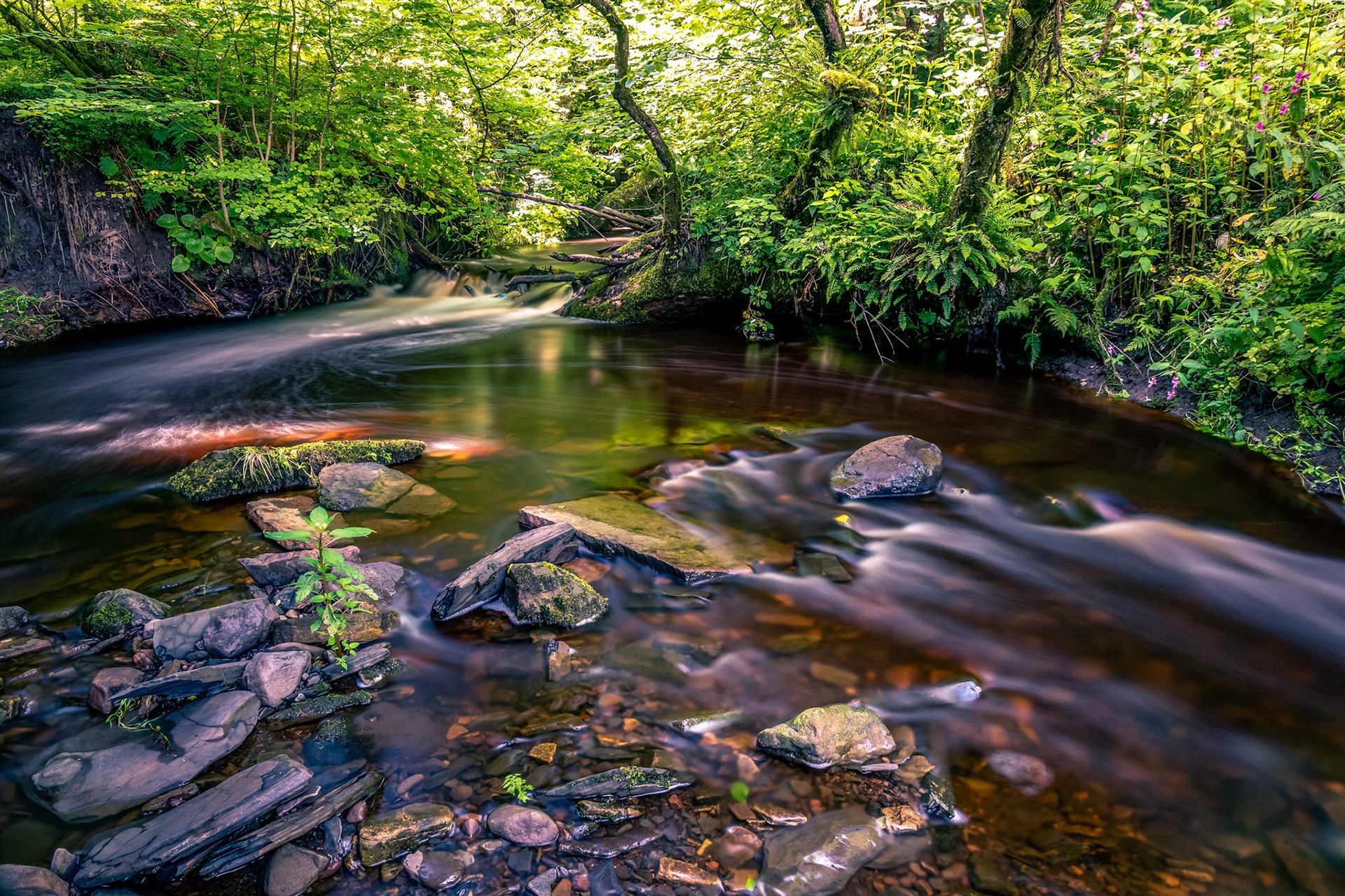 Coming down over the fall in the foreground the river splits over the little stony island in the middle before recombining and heading east to fill Kilbirnie Loch.