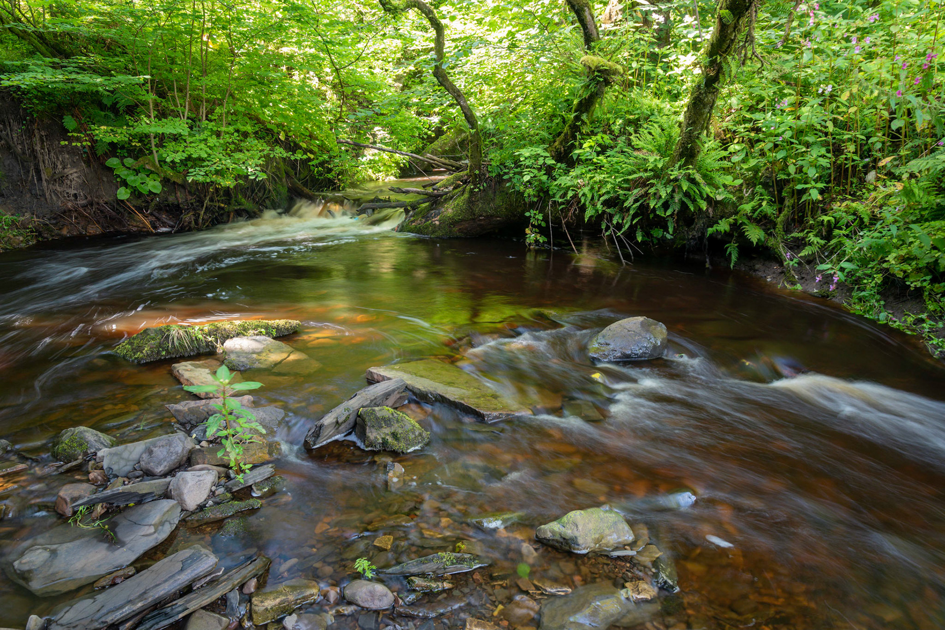 Coming down over the fall in the foreground the river splits over the little stony island in the middle before recombining and heading east to fill Kilbirnie Loch.