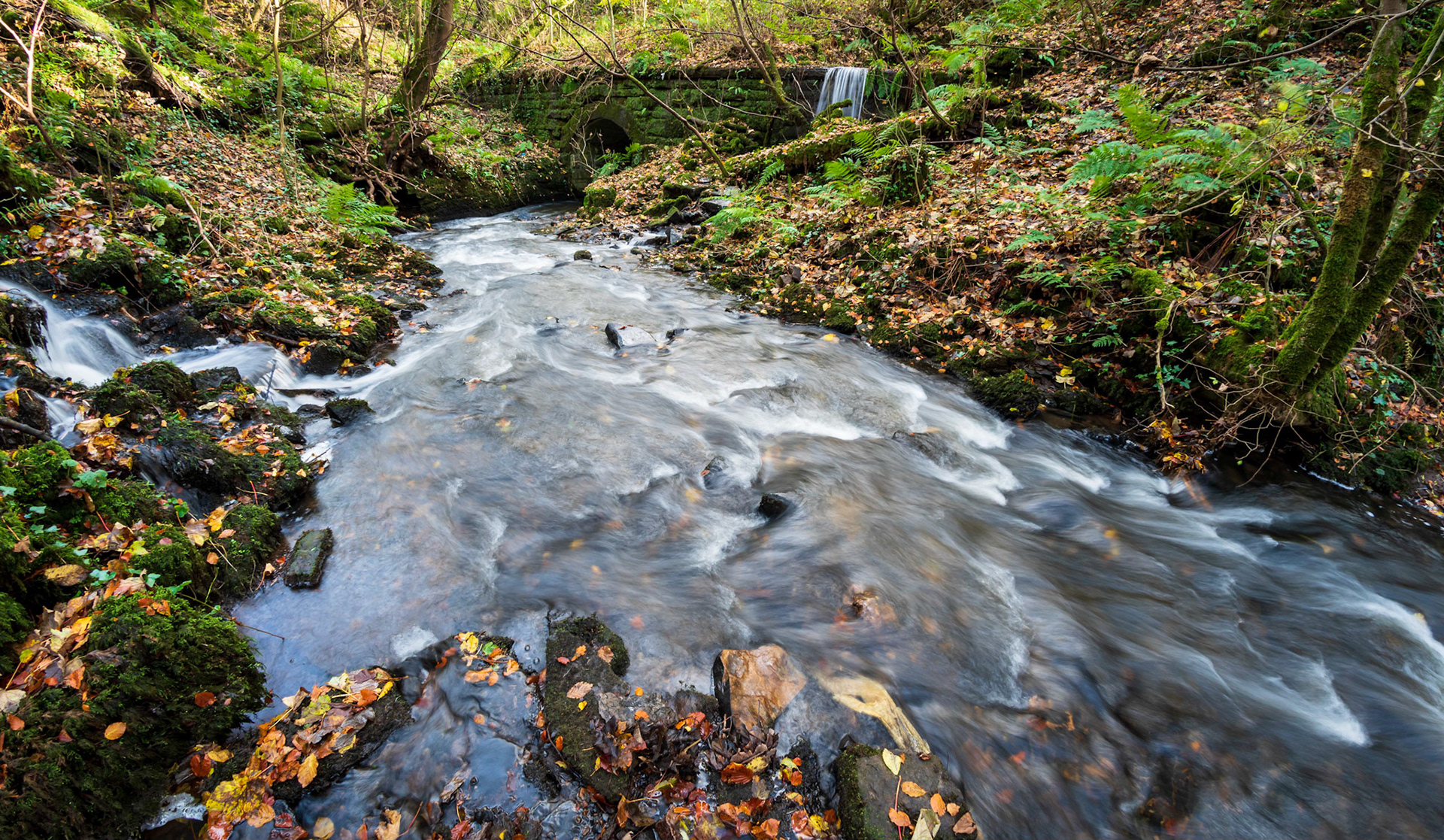 Millbank Burn, heading into a tunnel just before its final destination, Barr Loch..