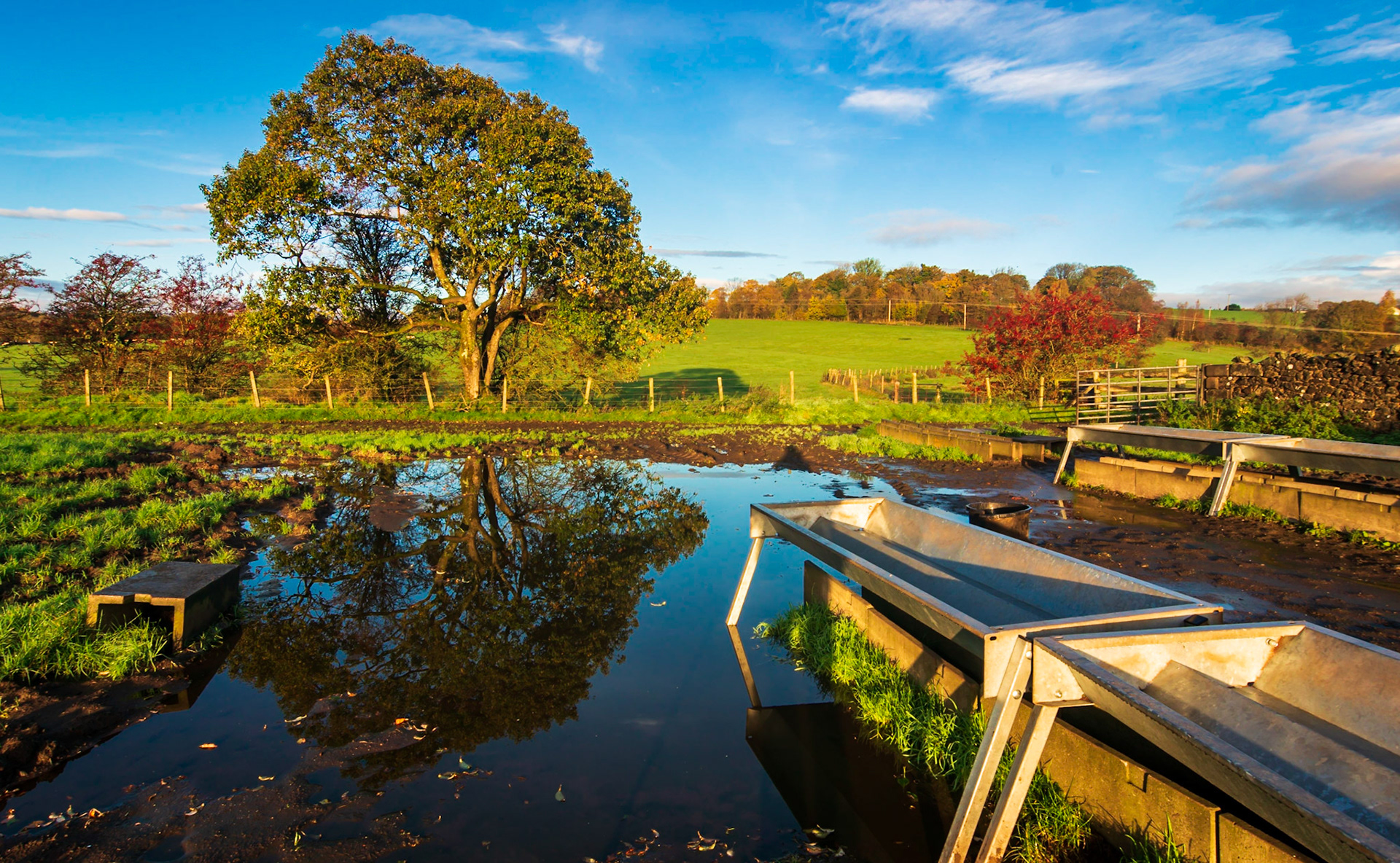 After heavy rain a pool of water builds up around a cow feeding station.