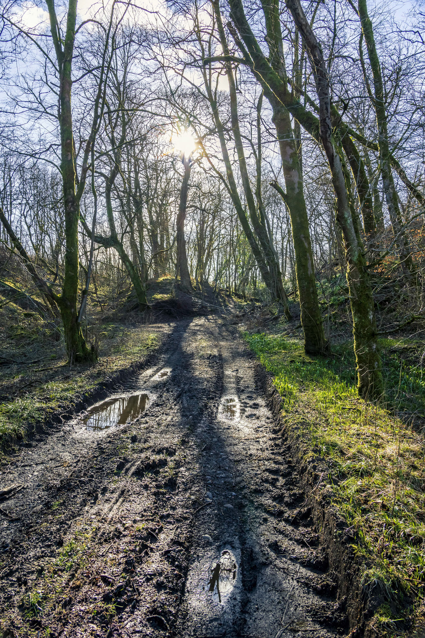 On a lonley walk along a muddy farm track.