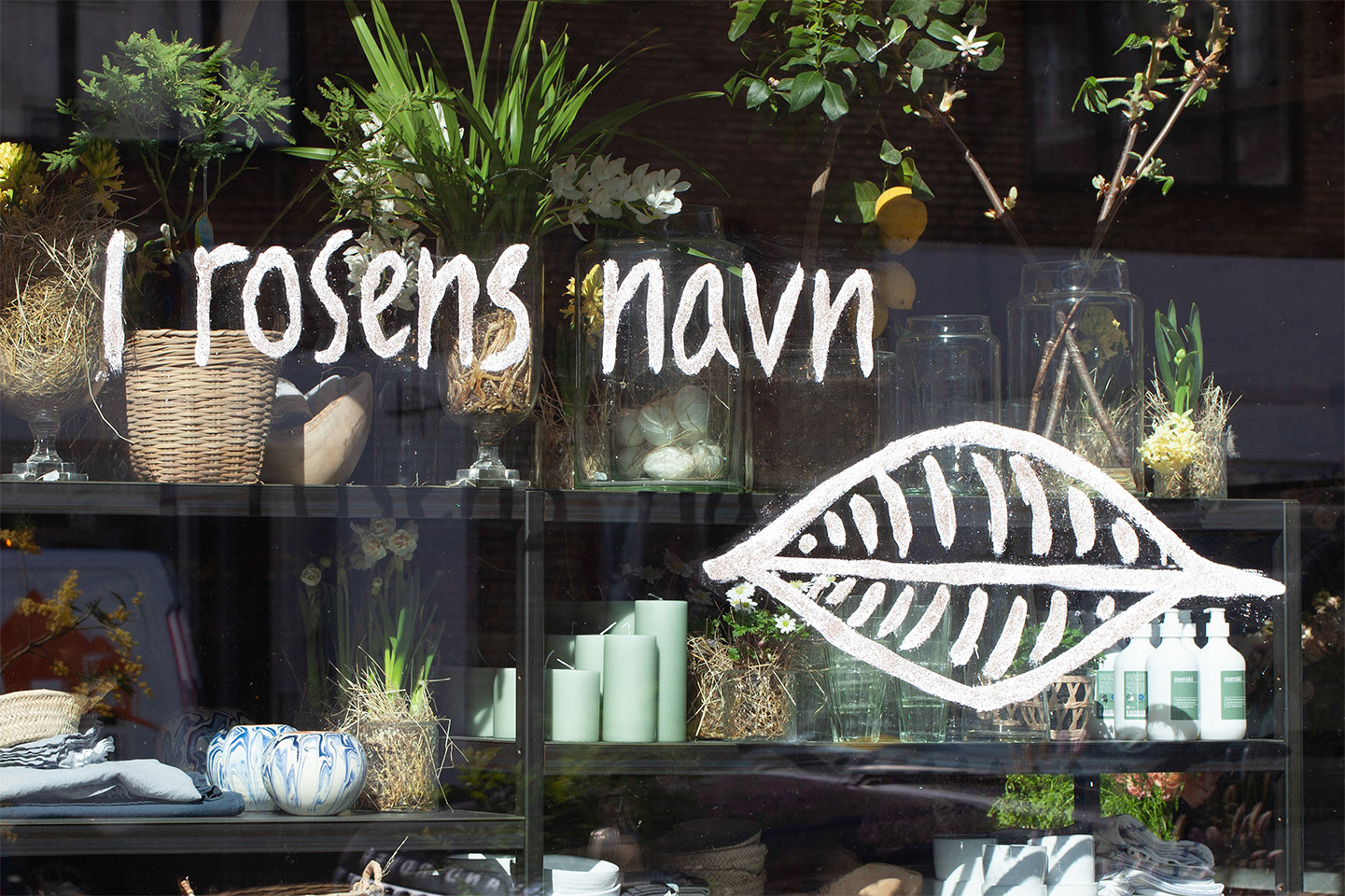 i rosens navn