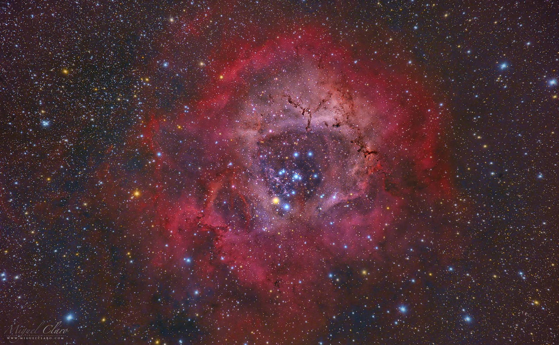 Rosette Nebula