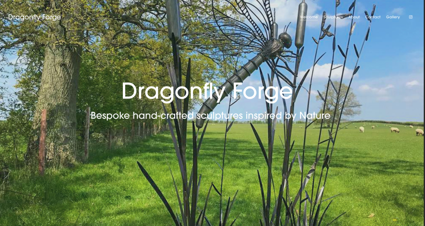 Just the Basics Customer Review - Dragonfly Forge