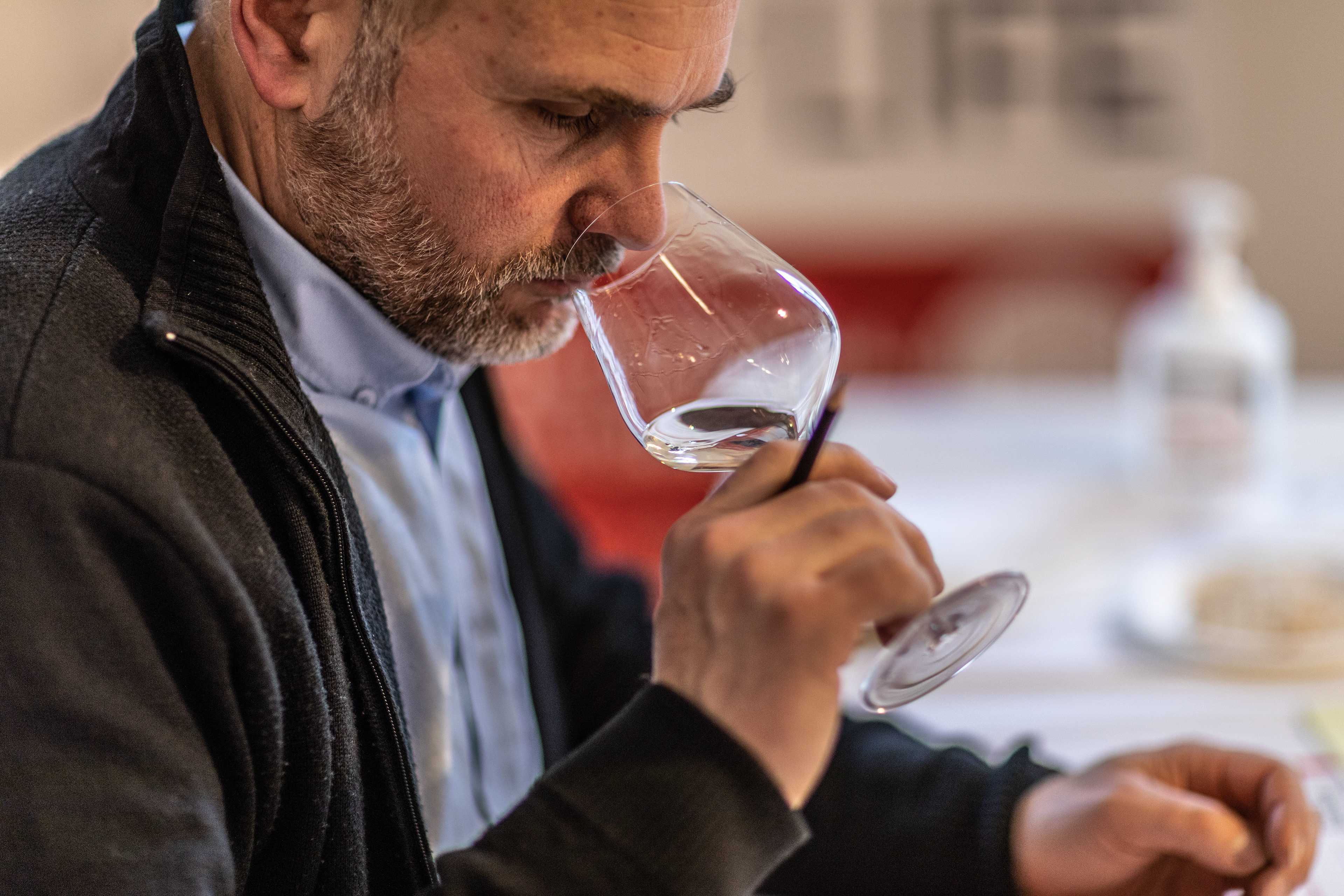 ANIVIN DE FRANCE - Concours