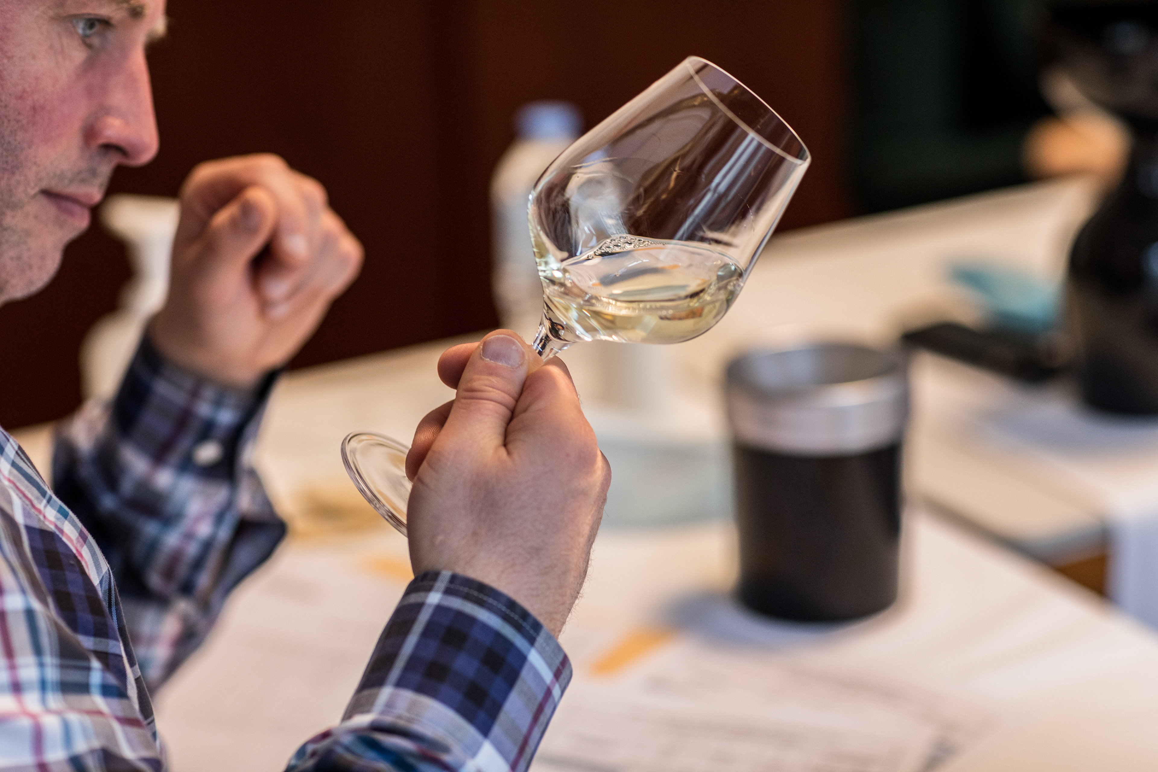ANIVIN DE FRANCE - Concours