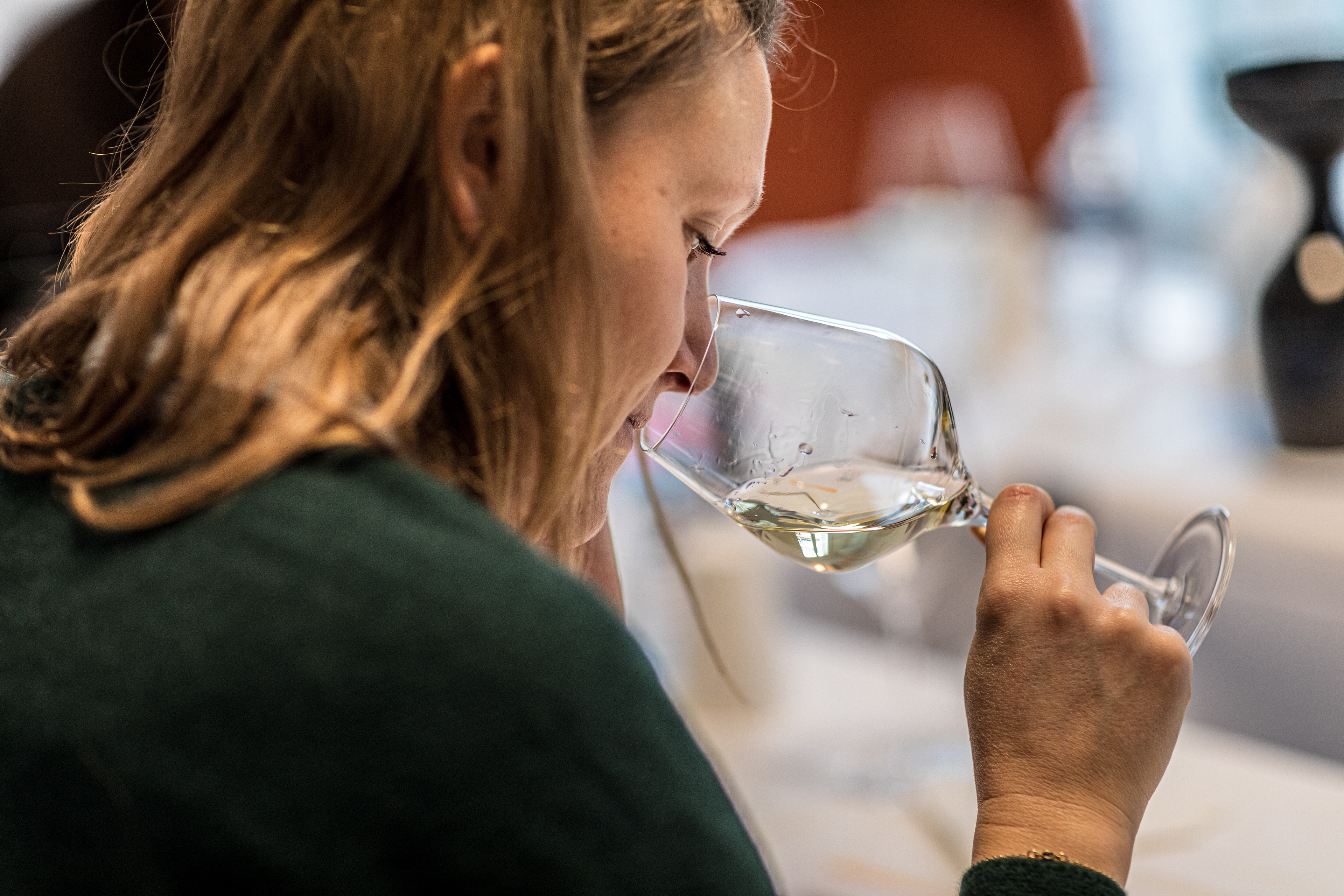 ANIVIN DE FRANCE - Concours