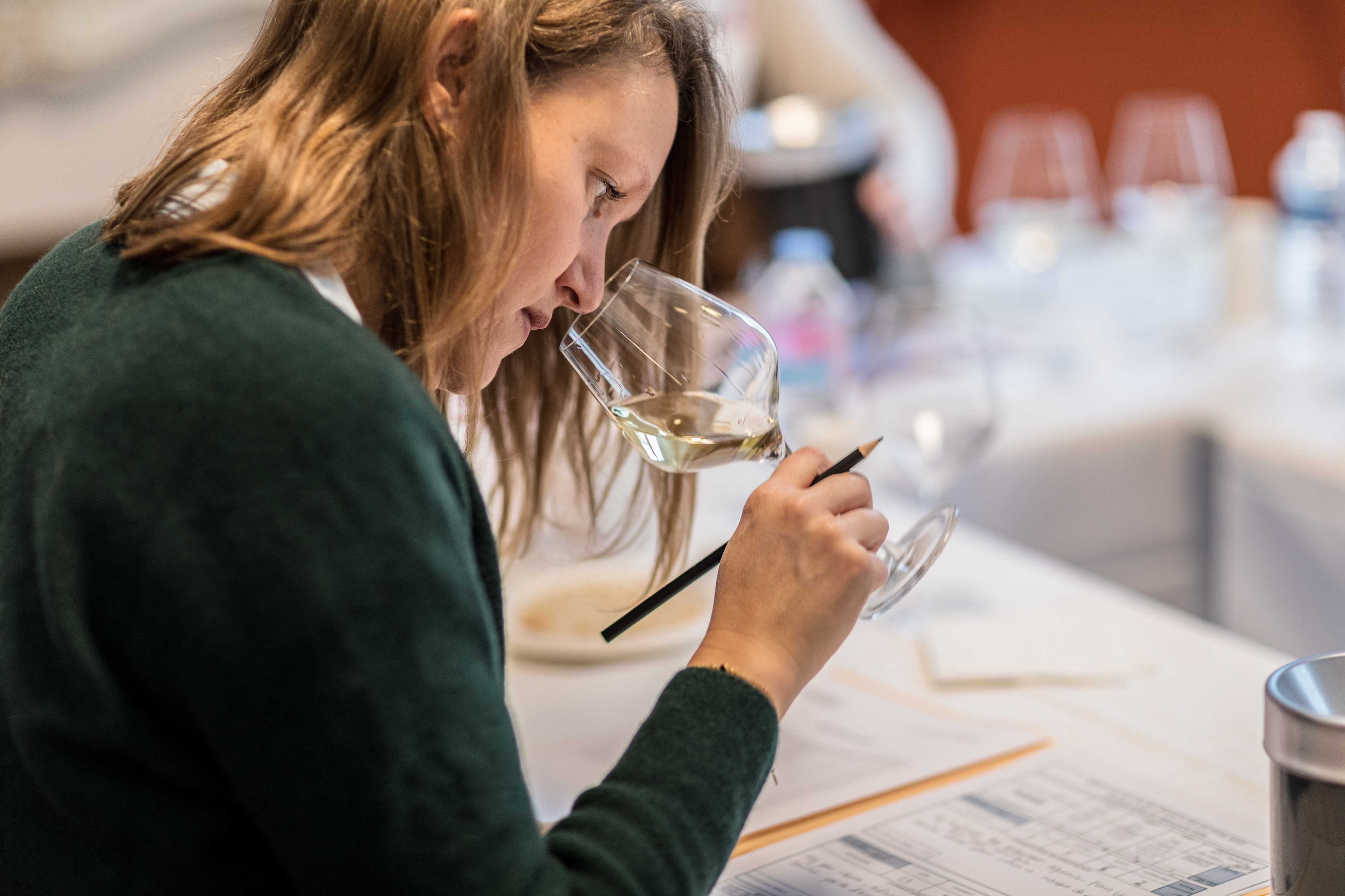ANIVIN DE FRANCE - Concours