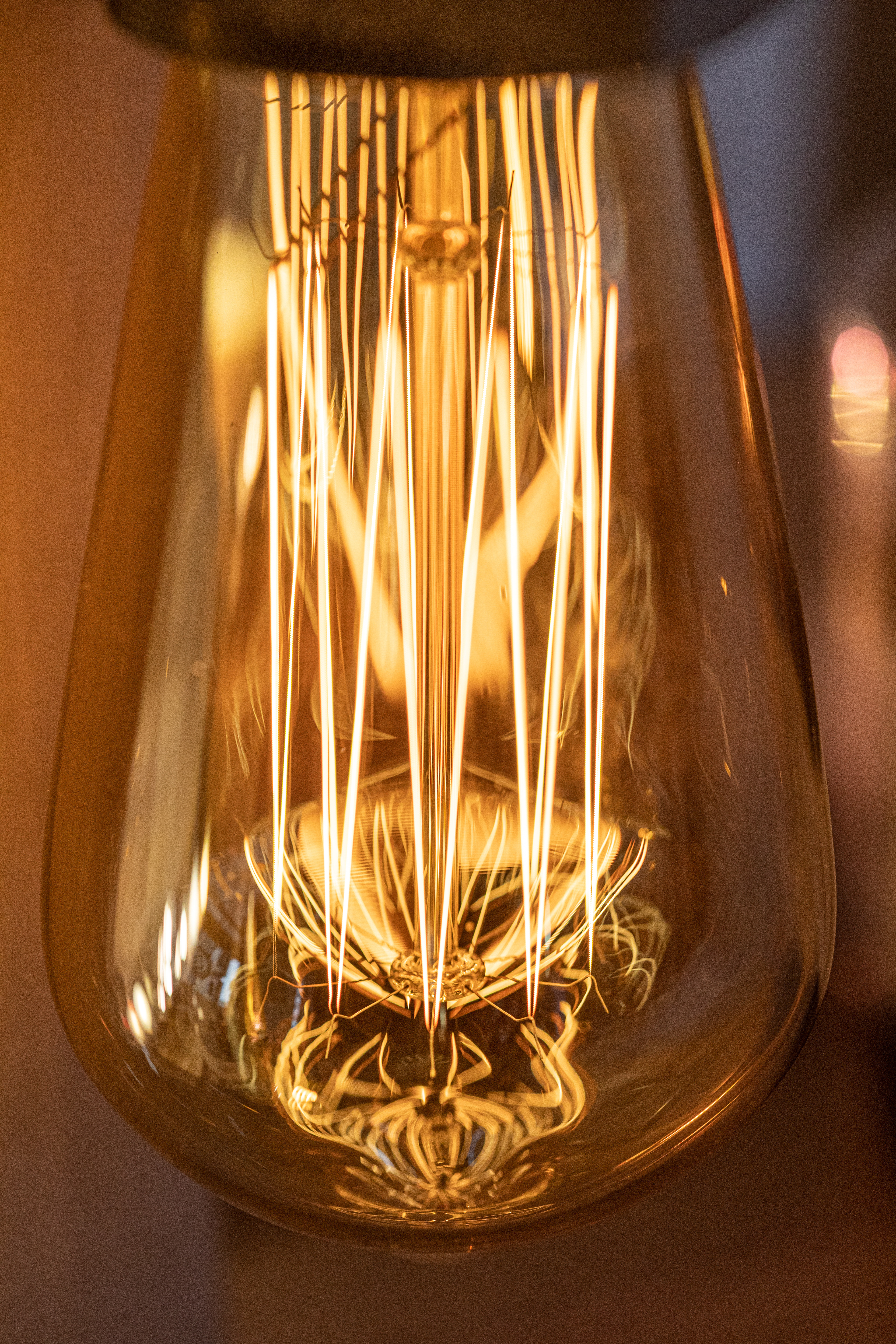 Nomelec