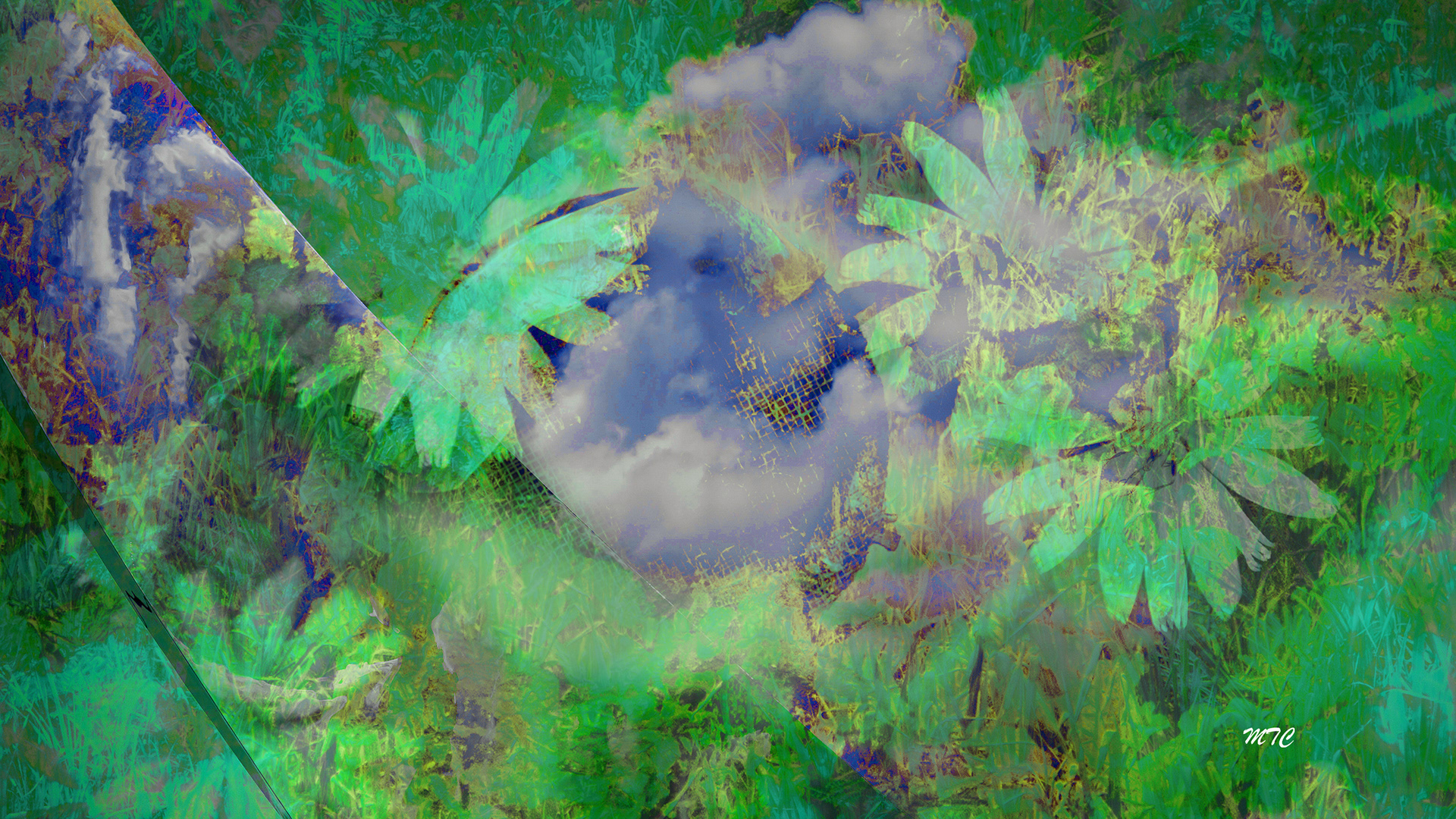 Emergent