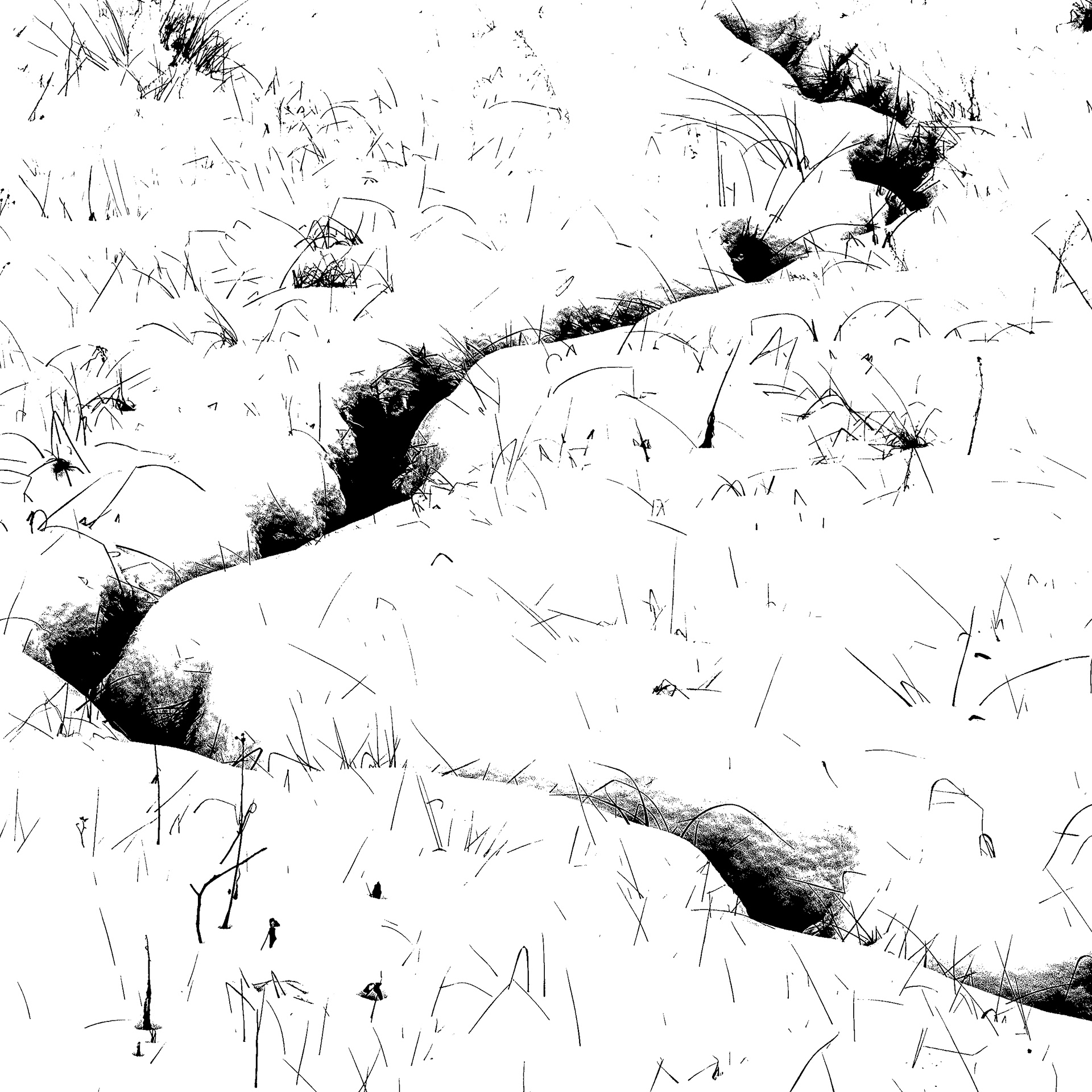 Snow Me A River