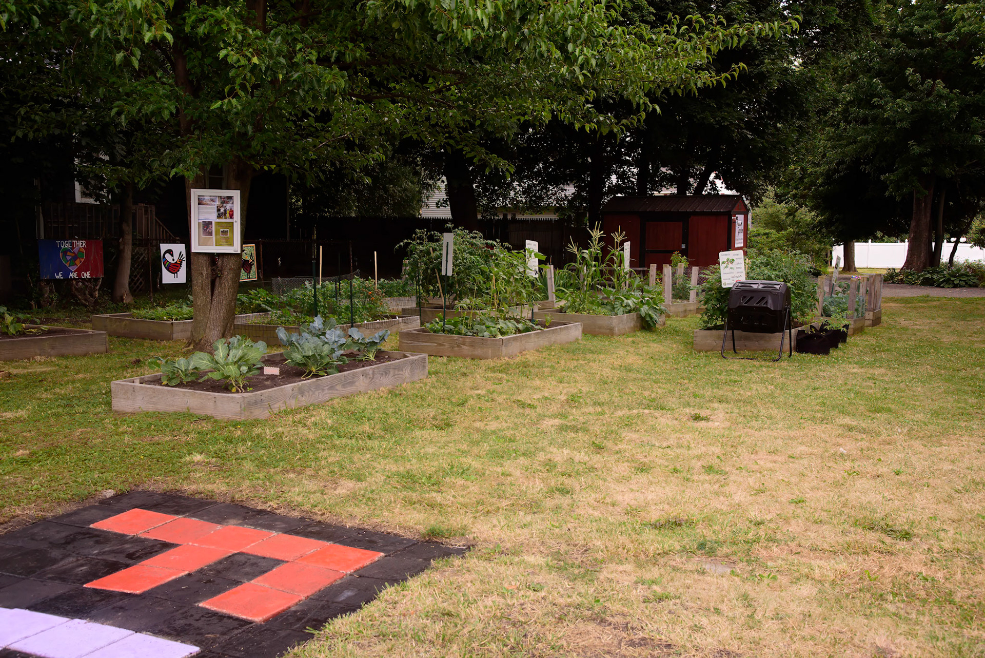 Frida's Rebel Garden