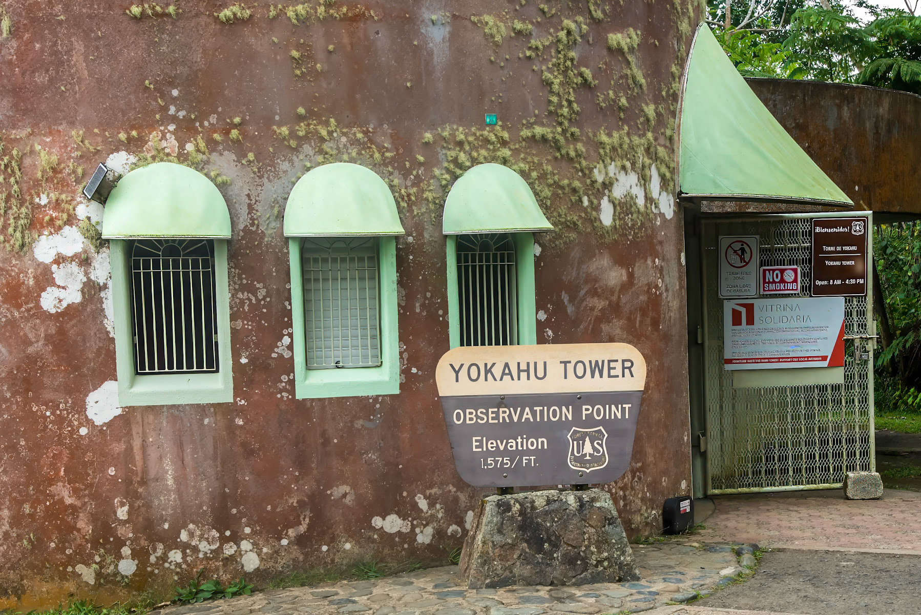 Yunque National Forest