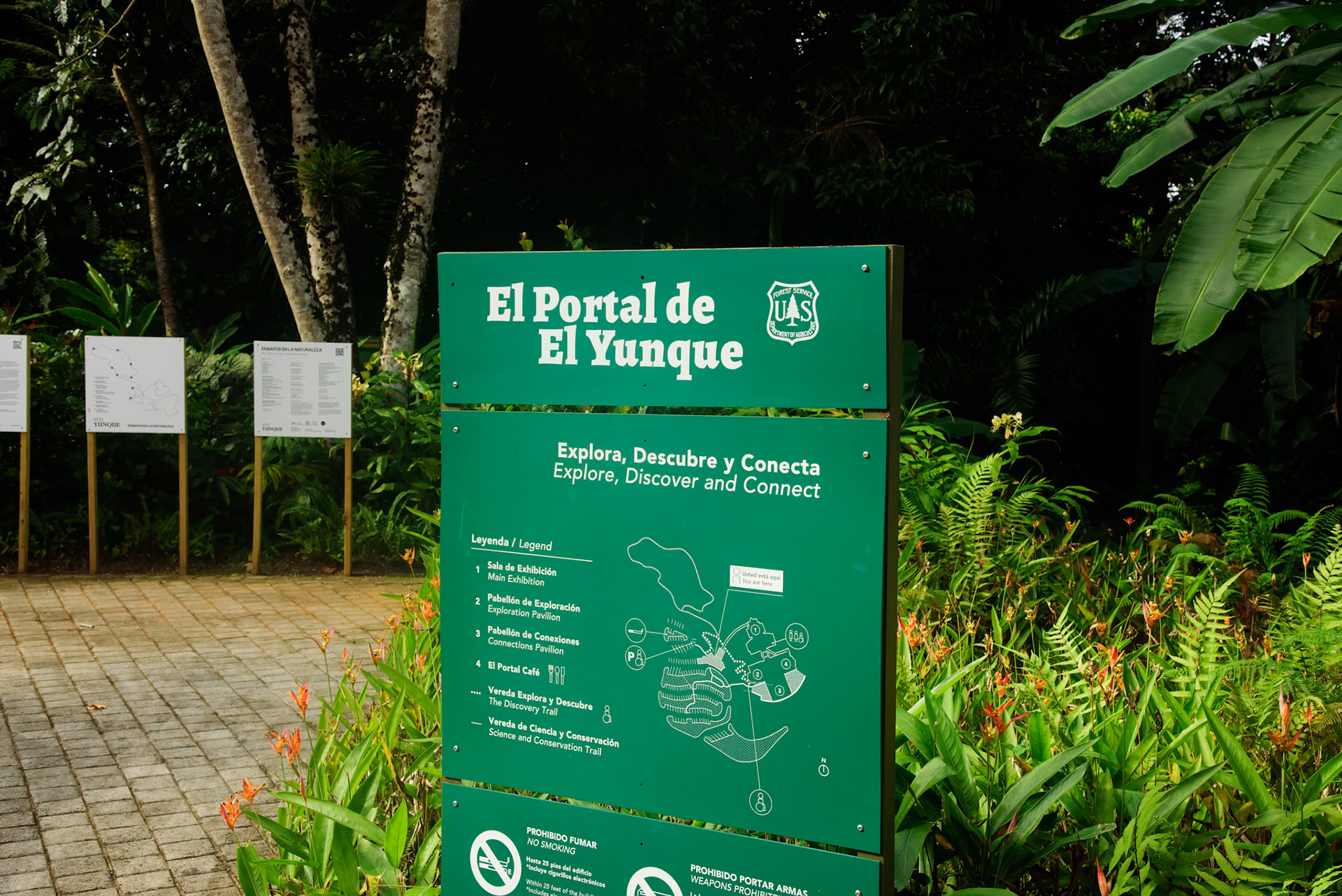 Yunque National Forest