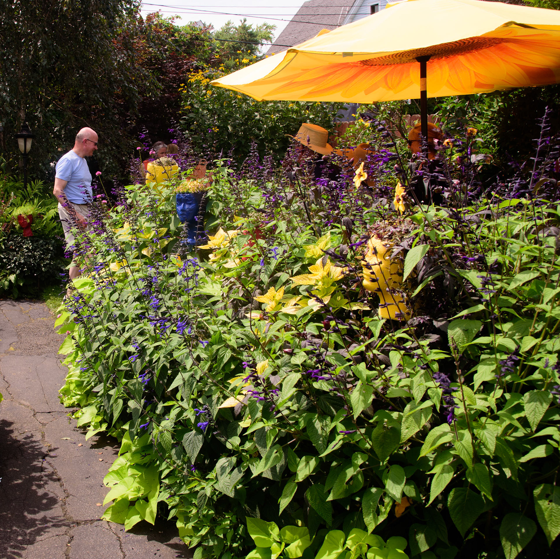 Joe and Scott's Garden