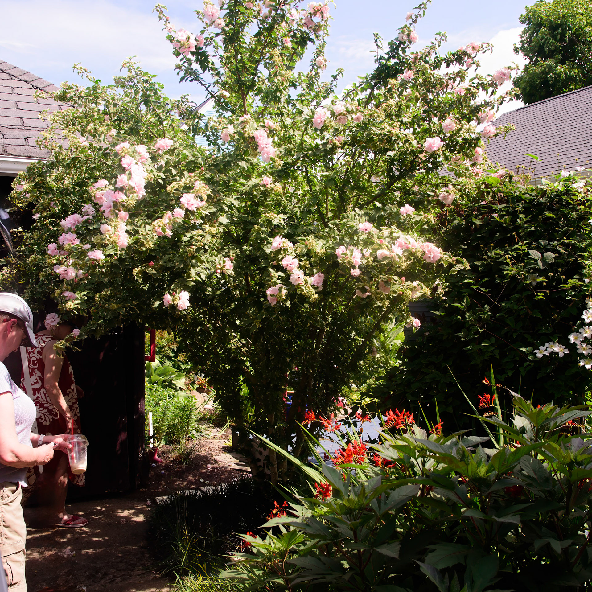 Helen's Garden