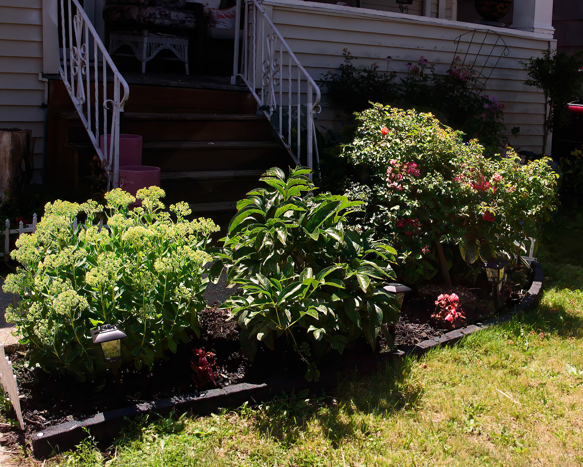 Mavis' Garden