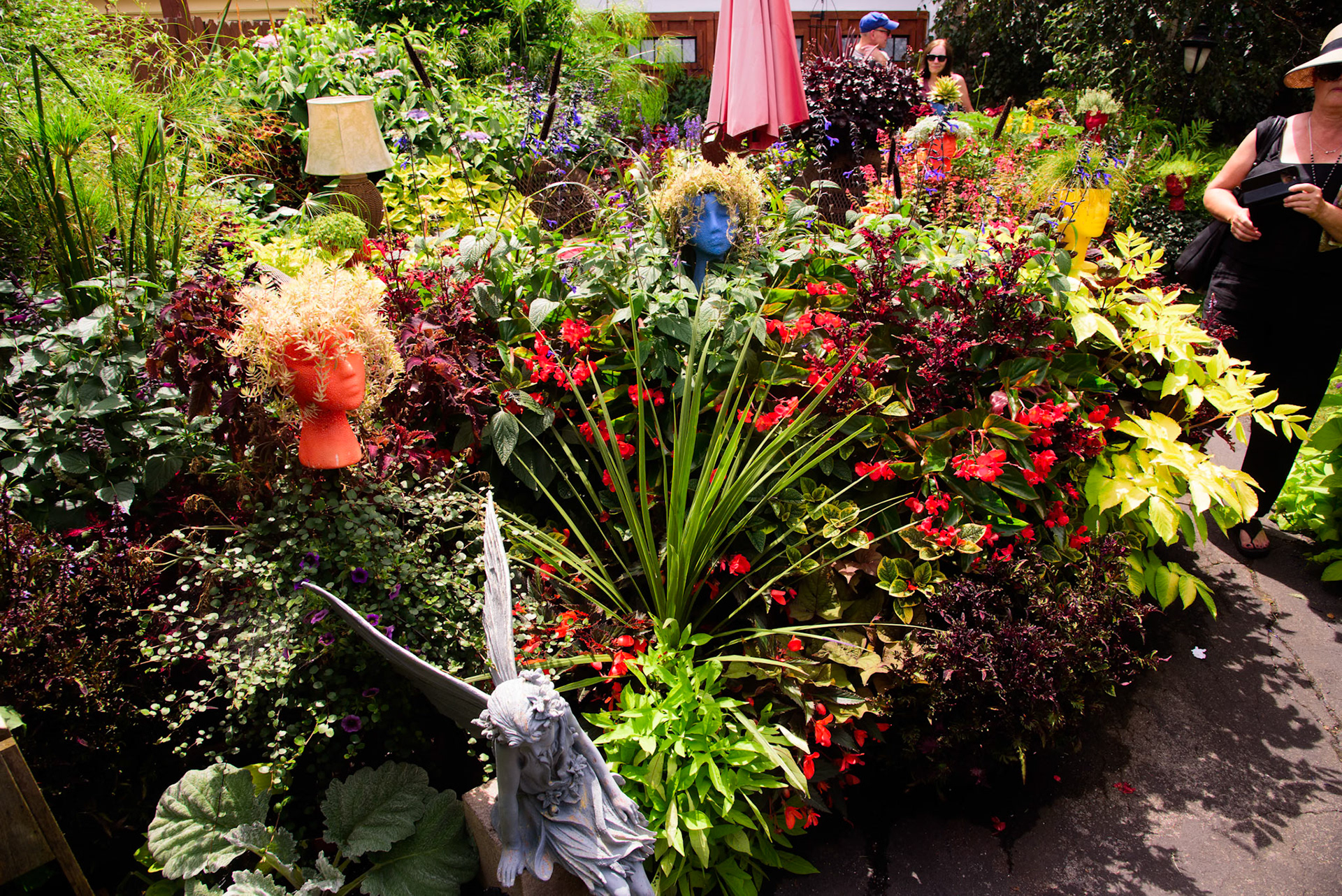 Joe and Scott's Garden