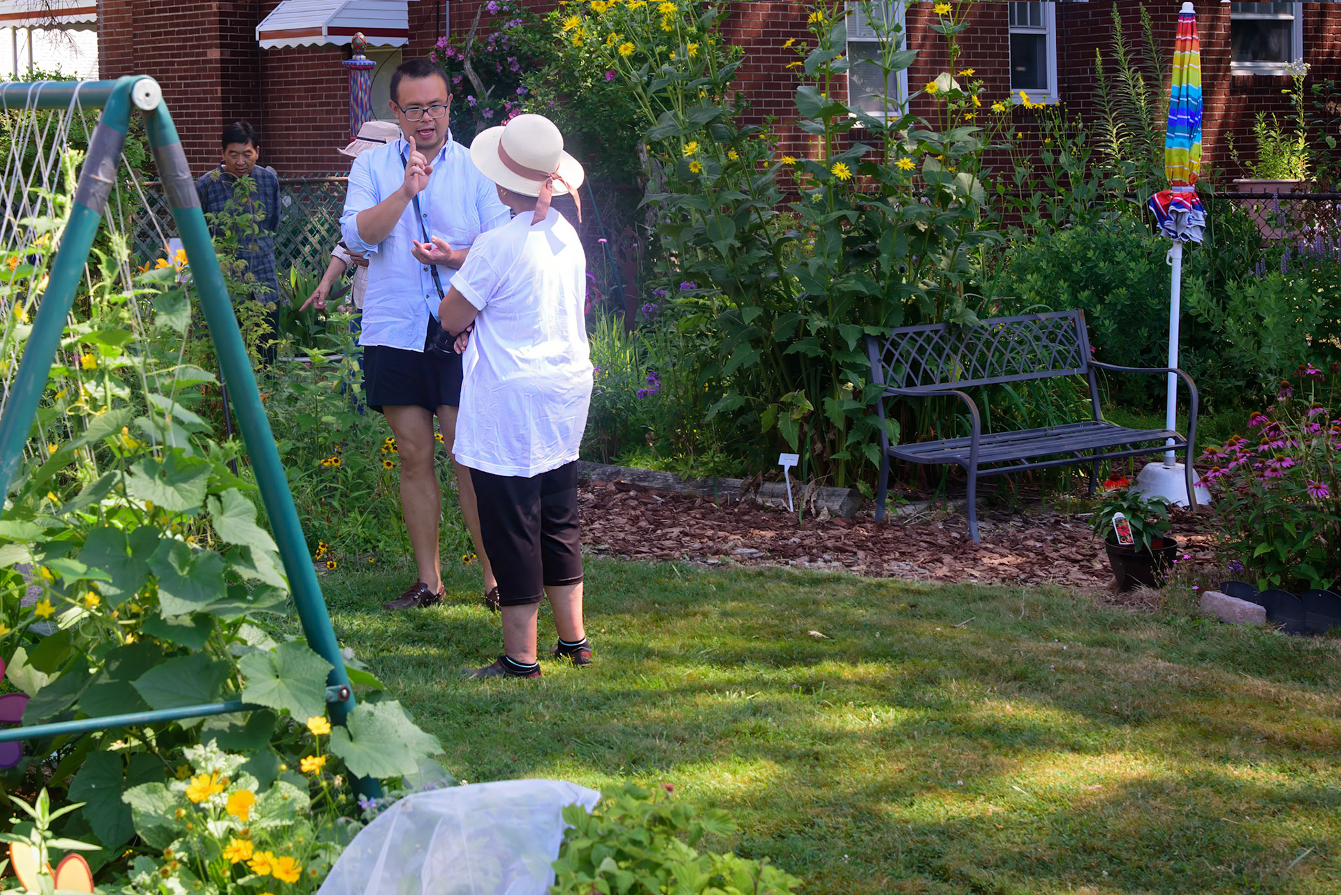 Phyllis' Therapy Garden