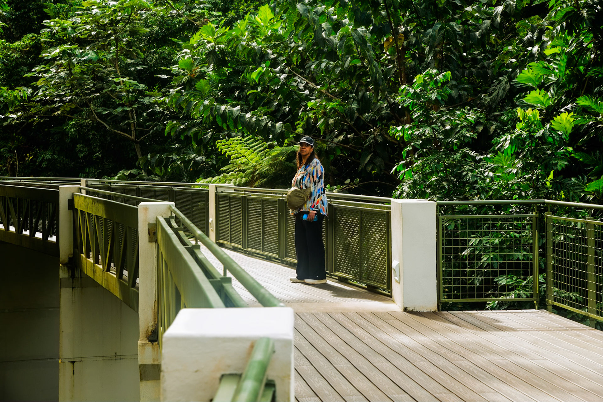 Yunque National Forest