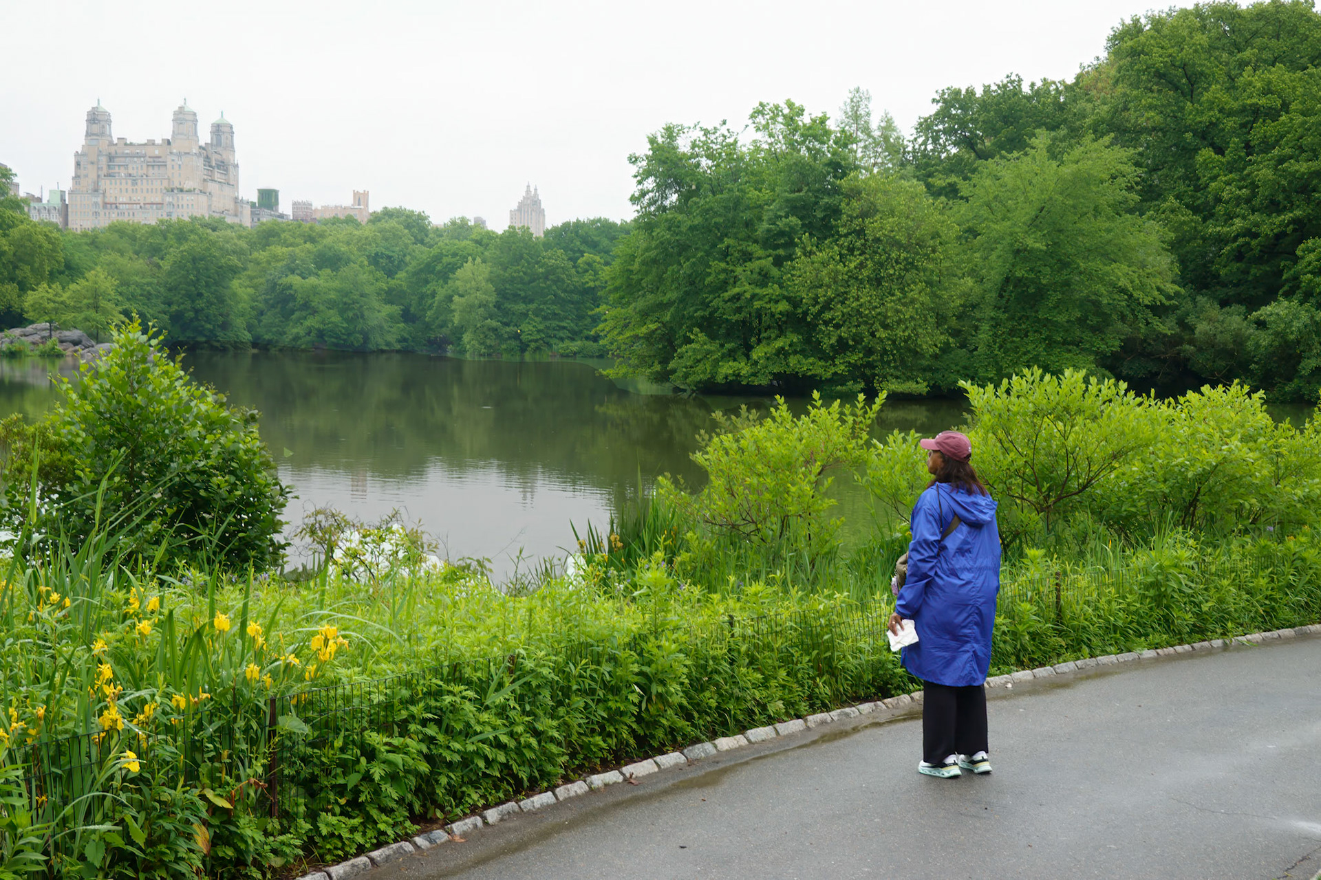 Central Park