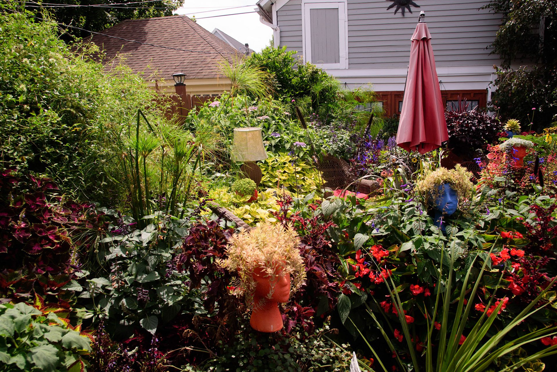Joe and Scott's Garden