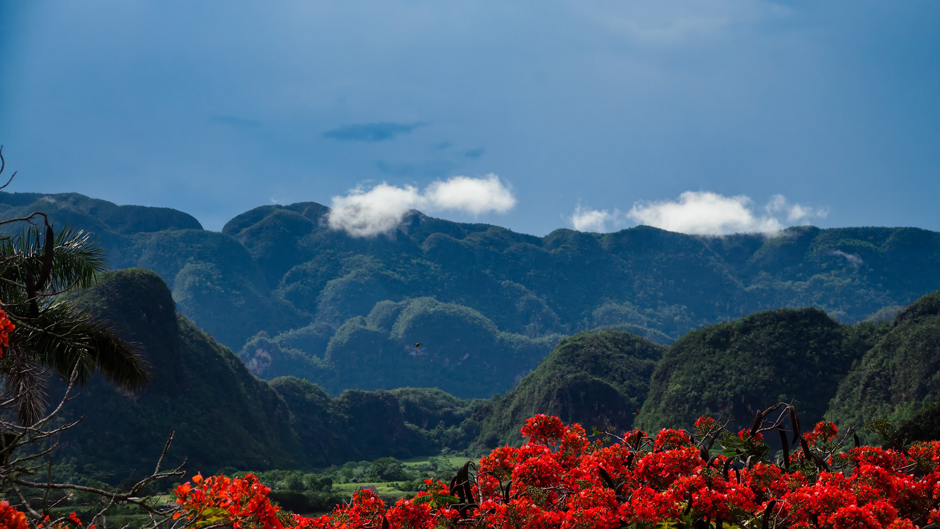 Vinales Valley