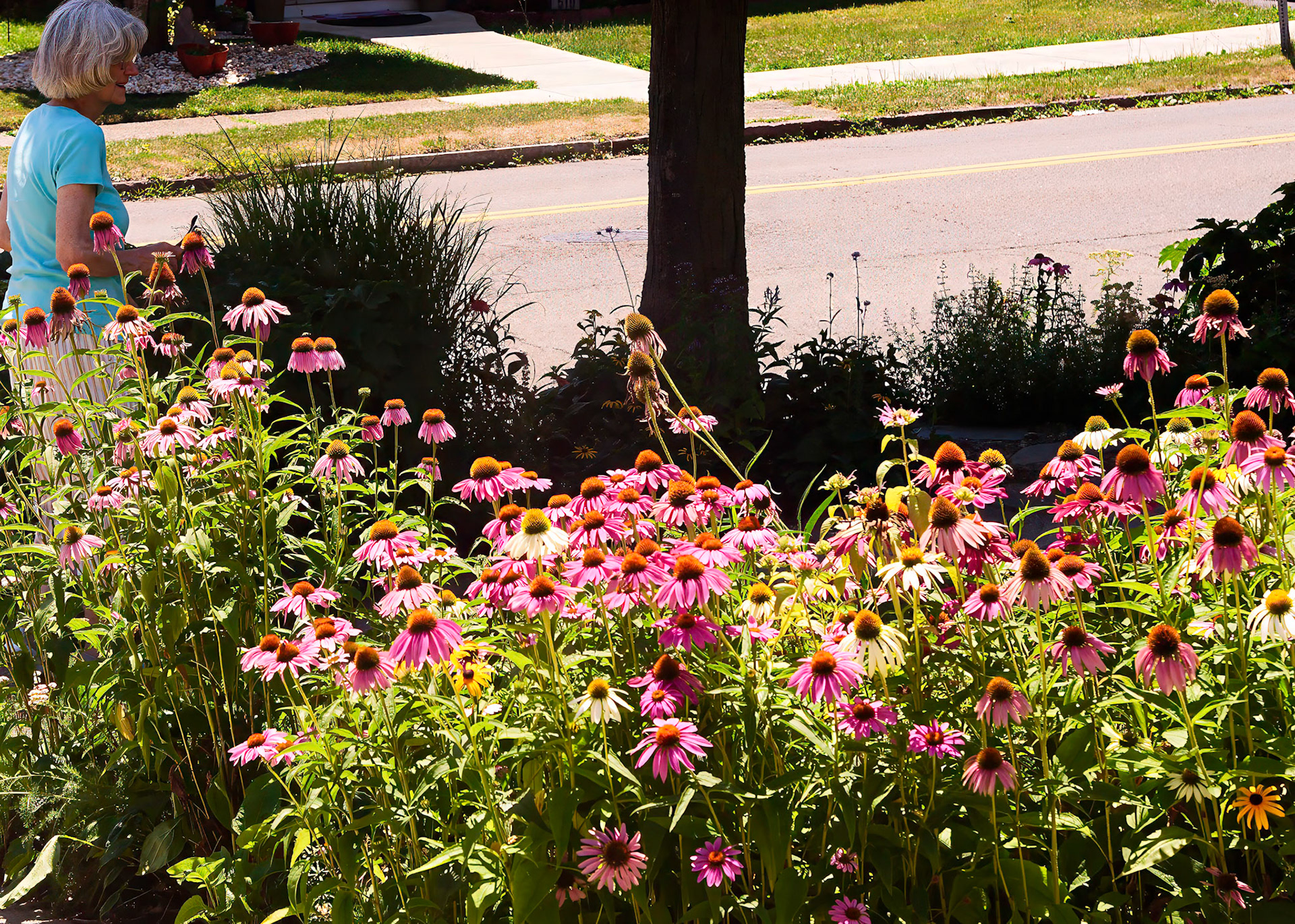 M and D Garden
