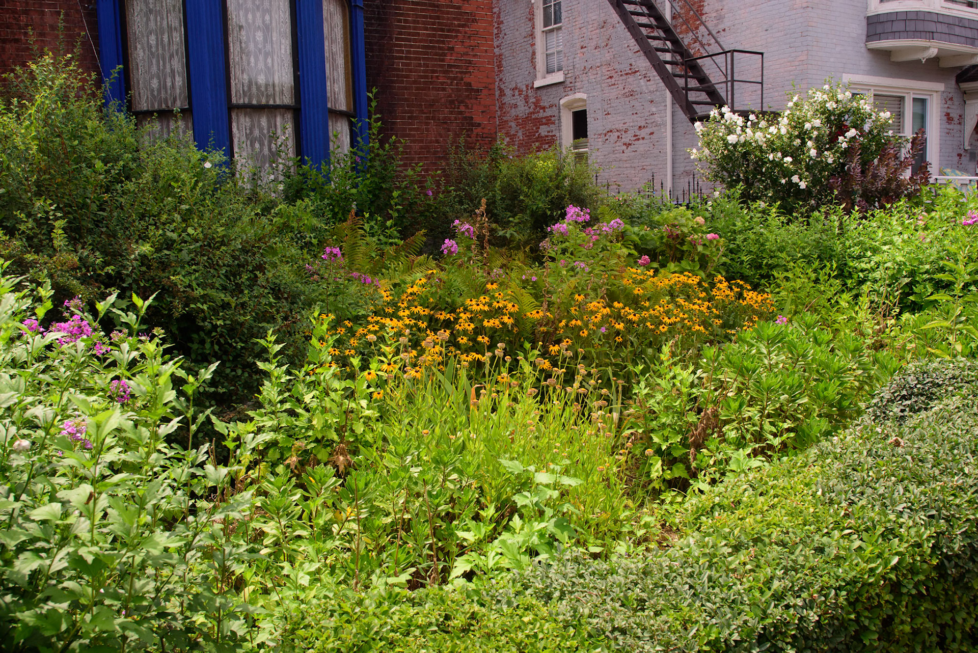 Rob's Garden