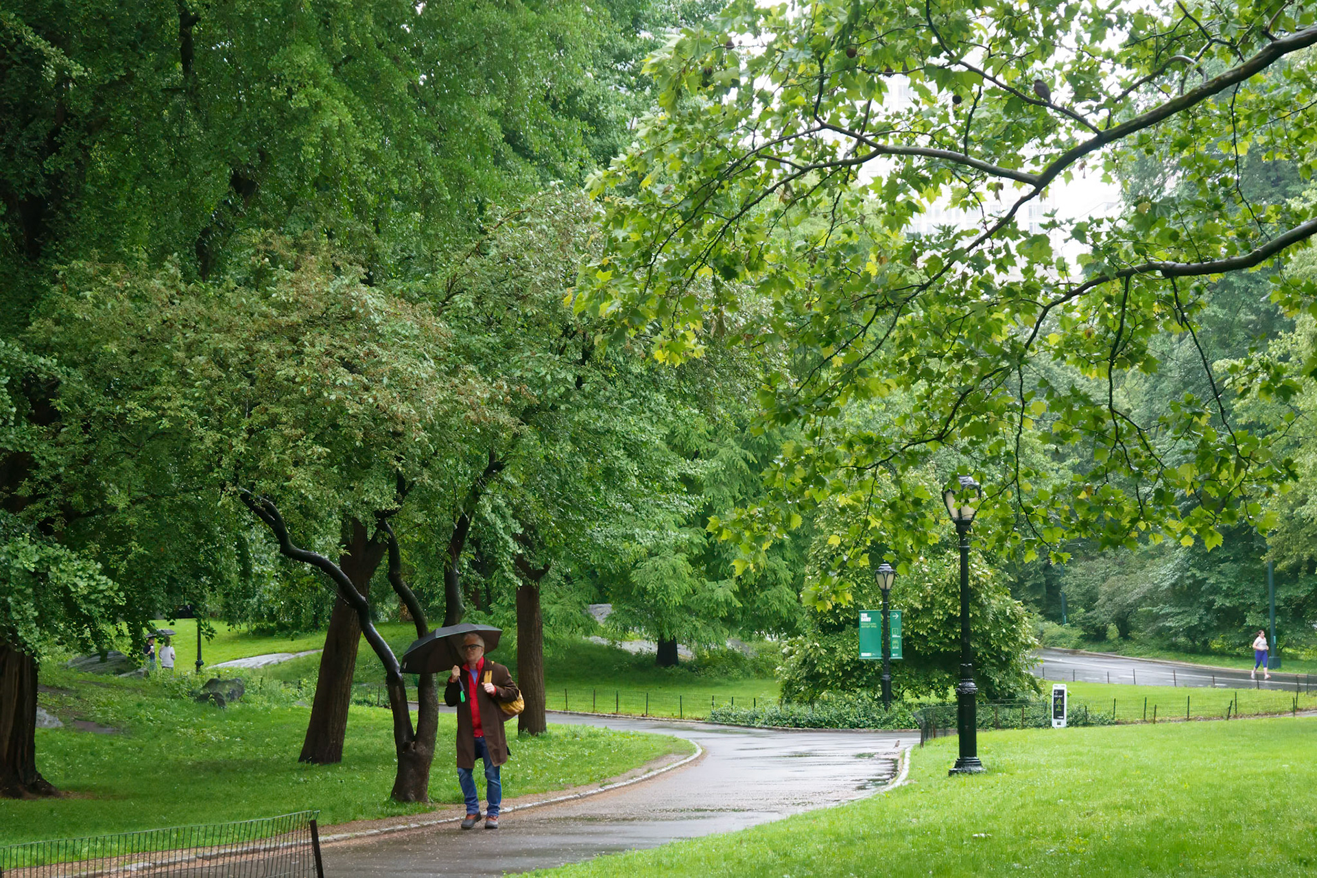 Central Park