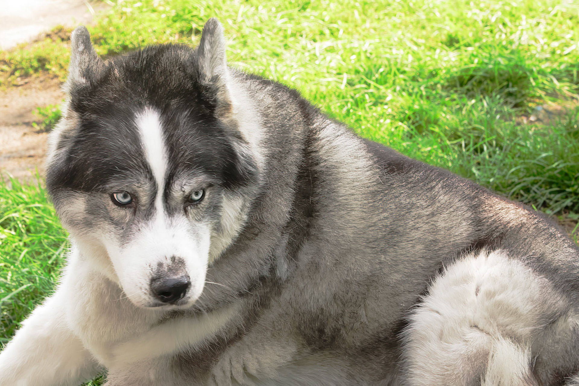 ESBC Picnic 09/17/22