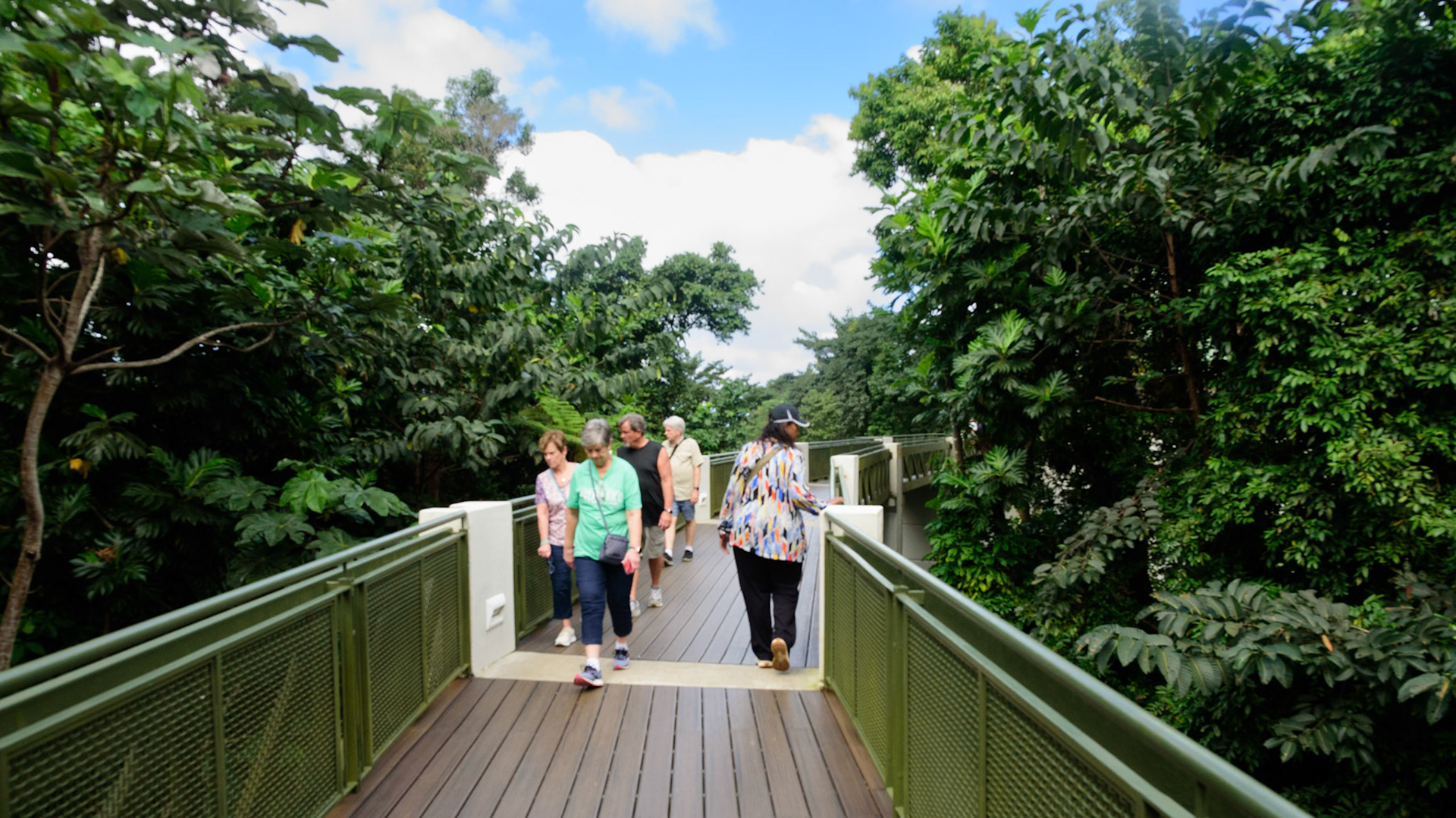 Yunque National Forest