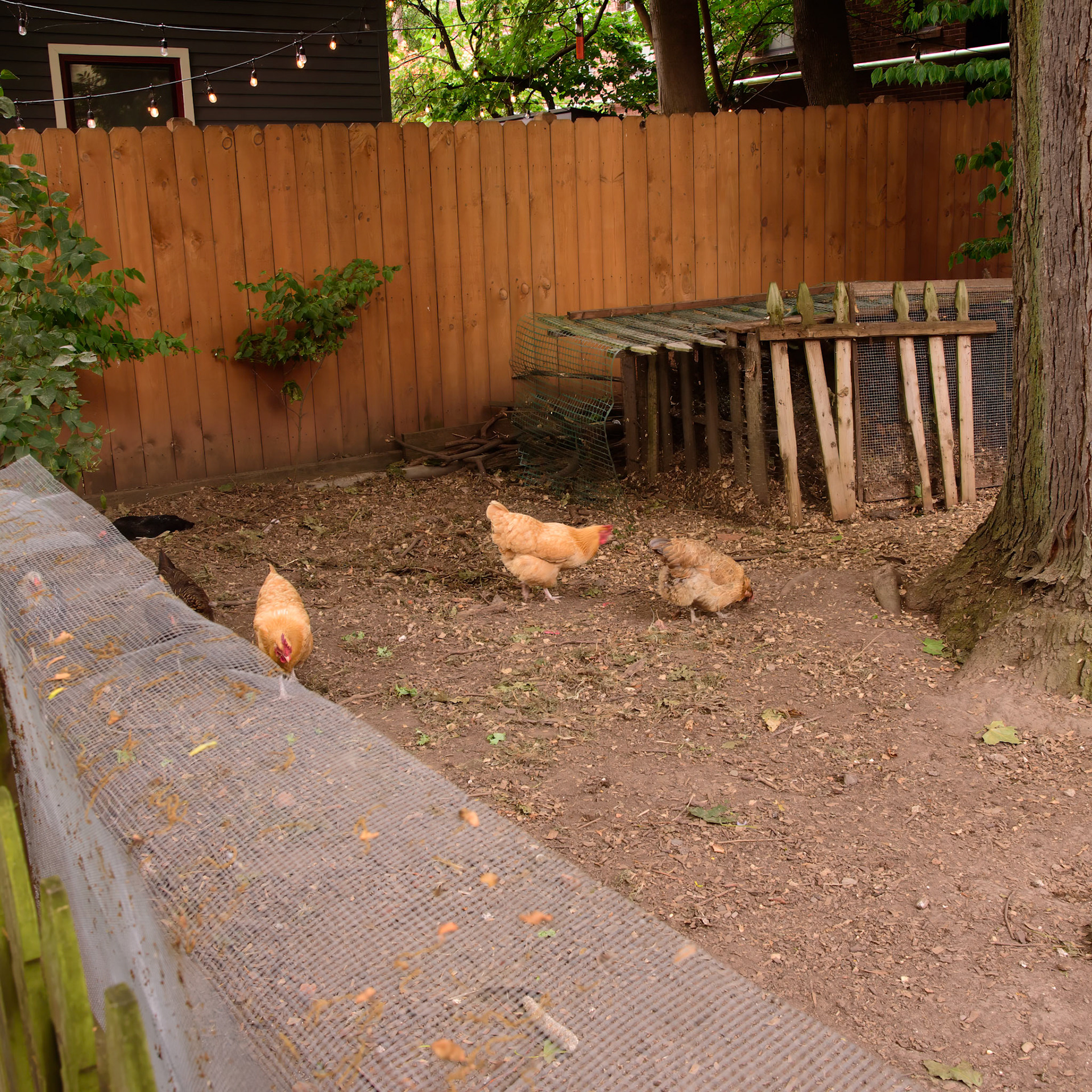 Urban Farm and Garden