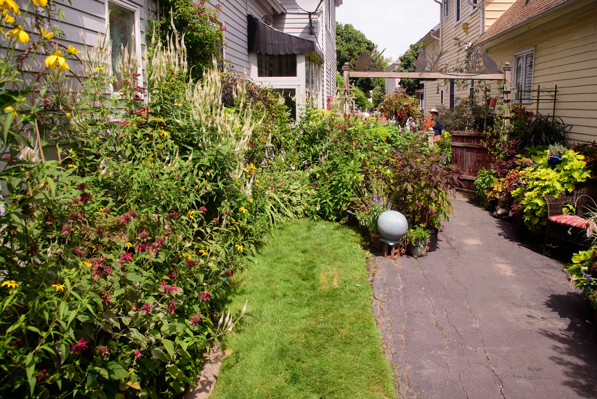 Joe and Scott's Garden