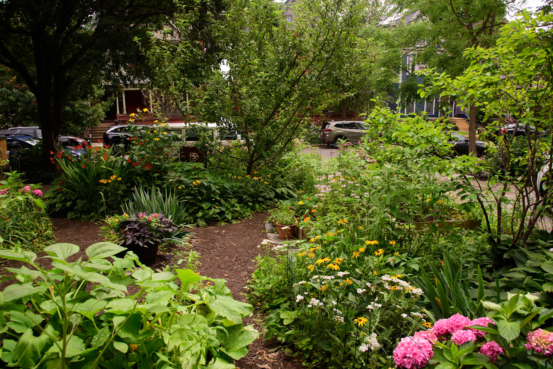 Urban Farm and Garden