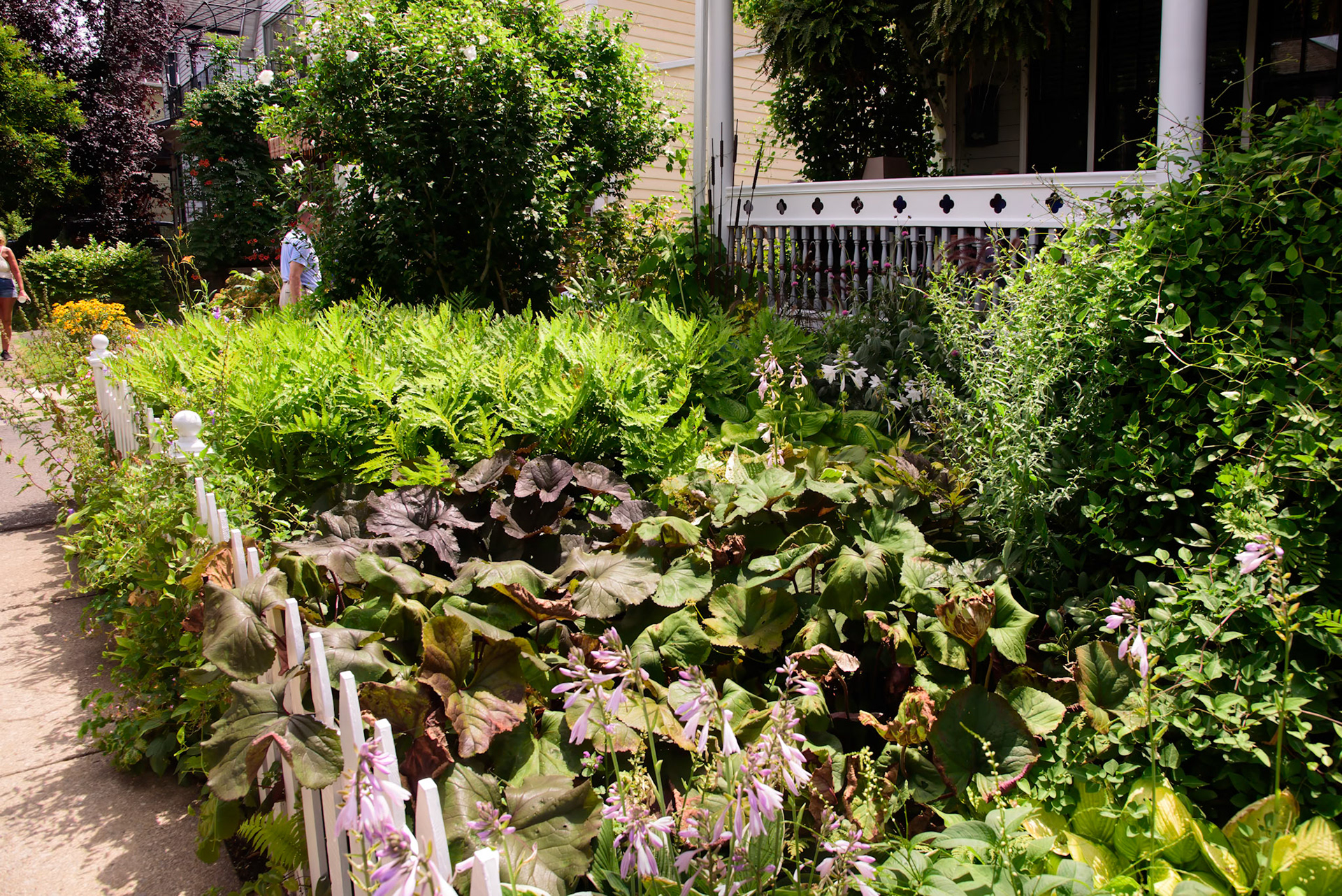Joe and Scott's Garden