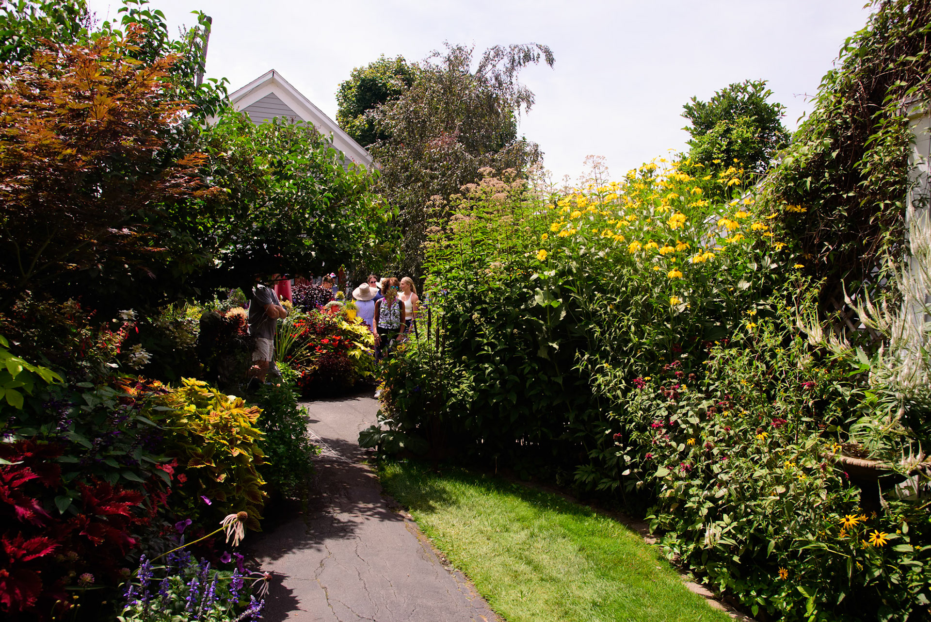 Joe and Scott's Garden