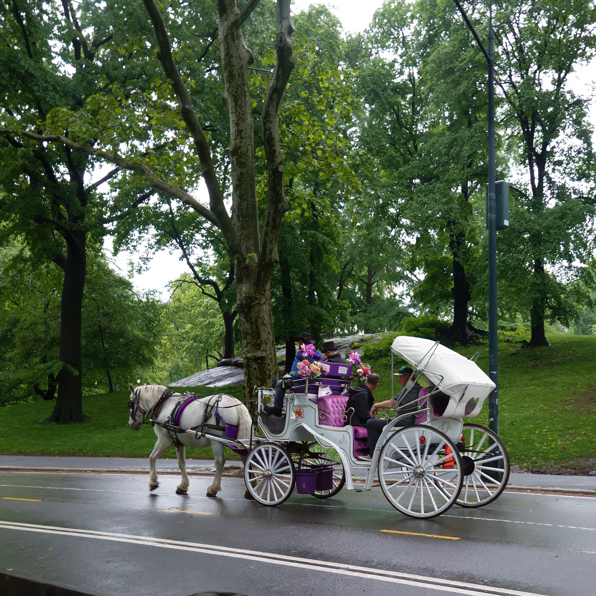 Central Park