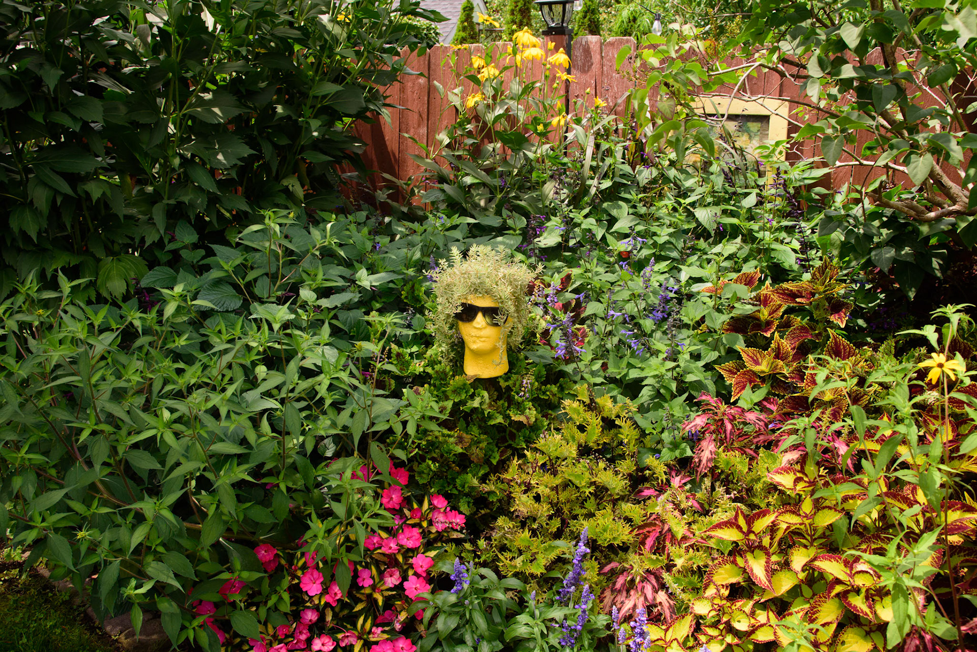 Joe and Scott's Garden