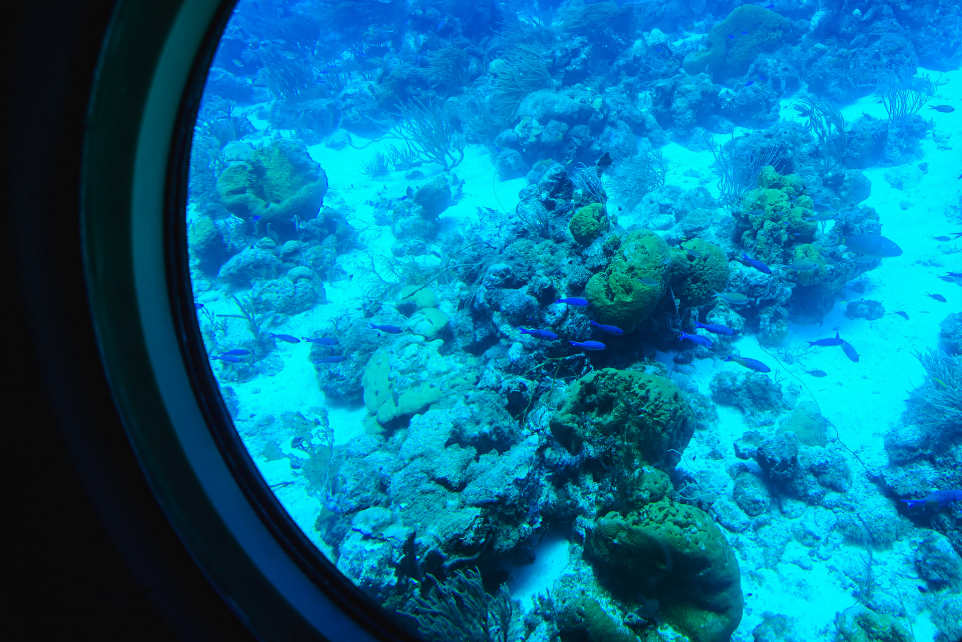 Aruba submarine