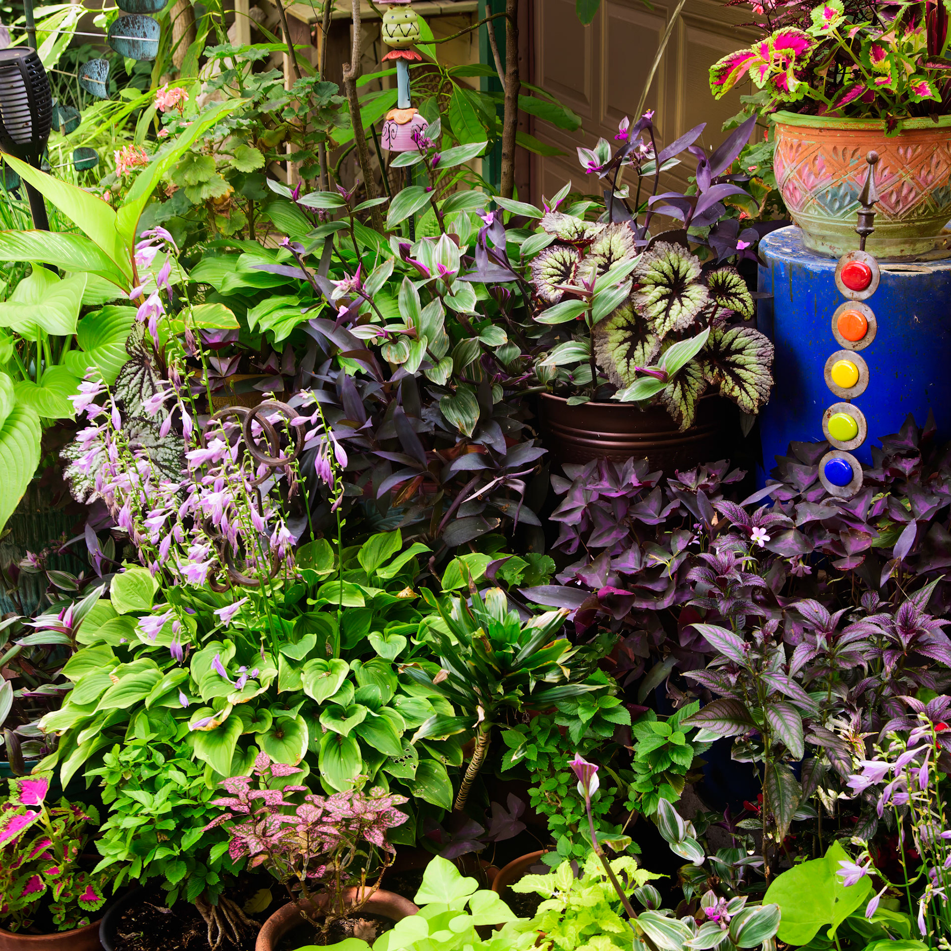 Leslie and Jim's Garden